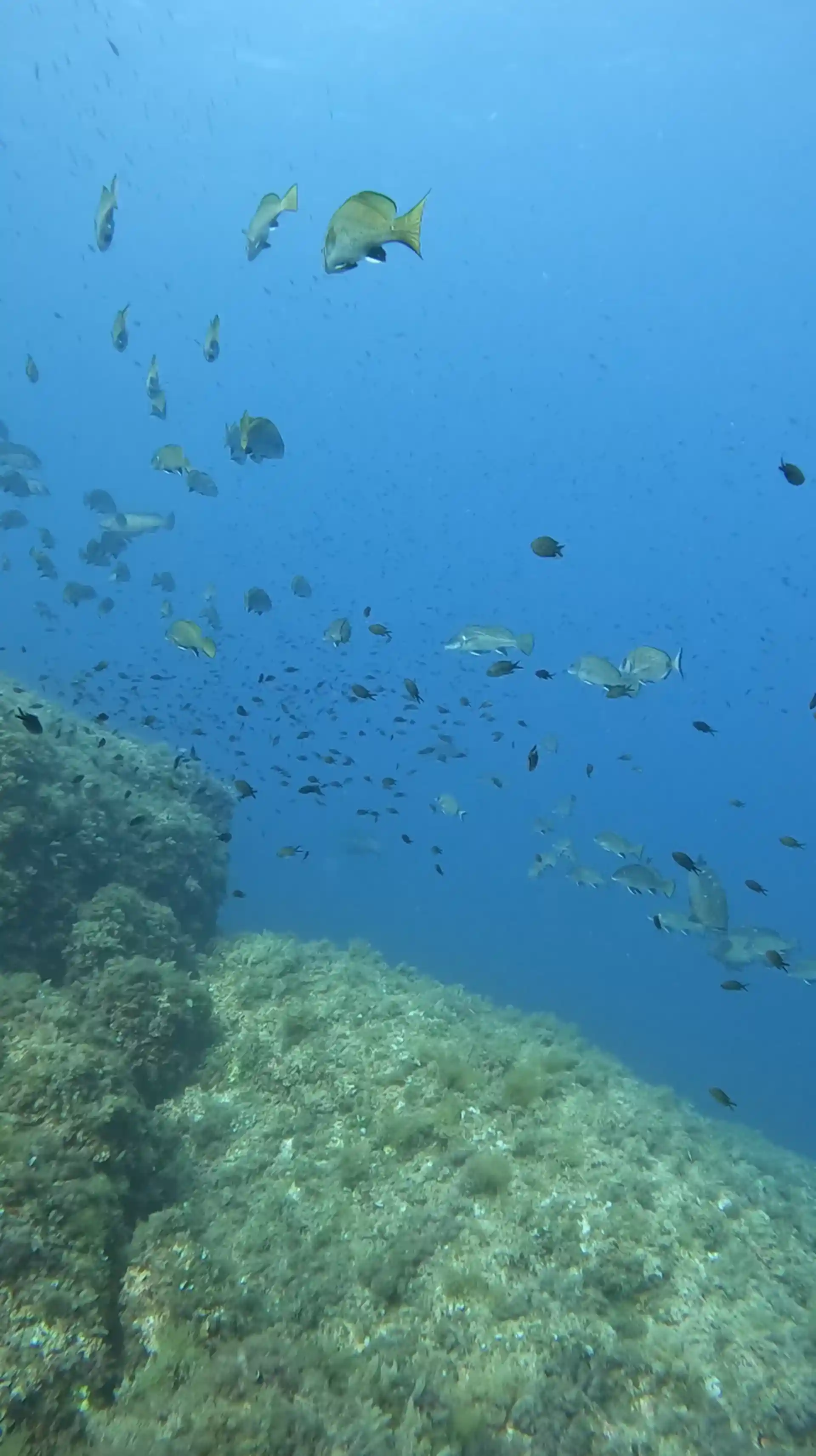 Dive site photo