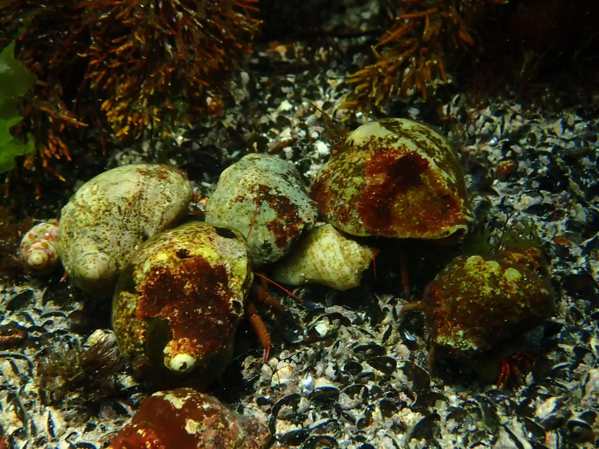 Dive site photo