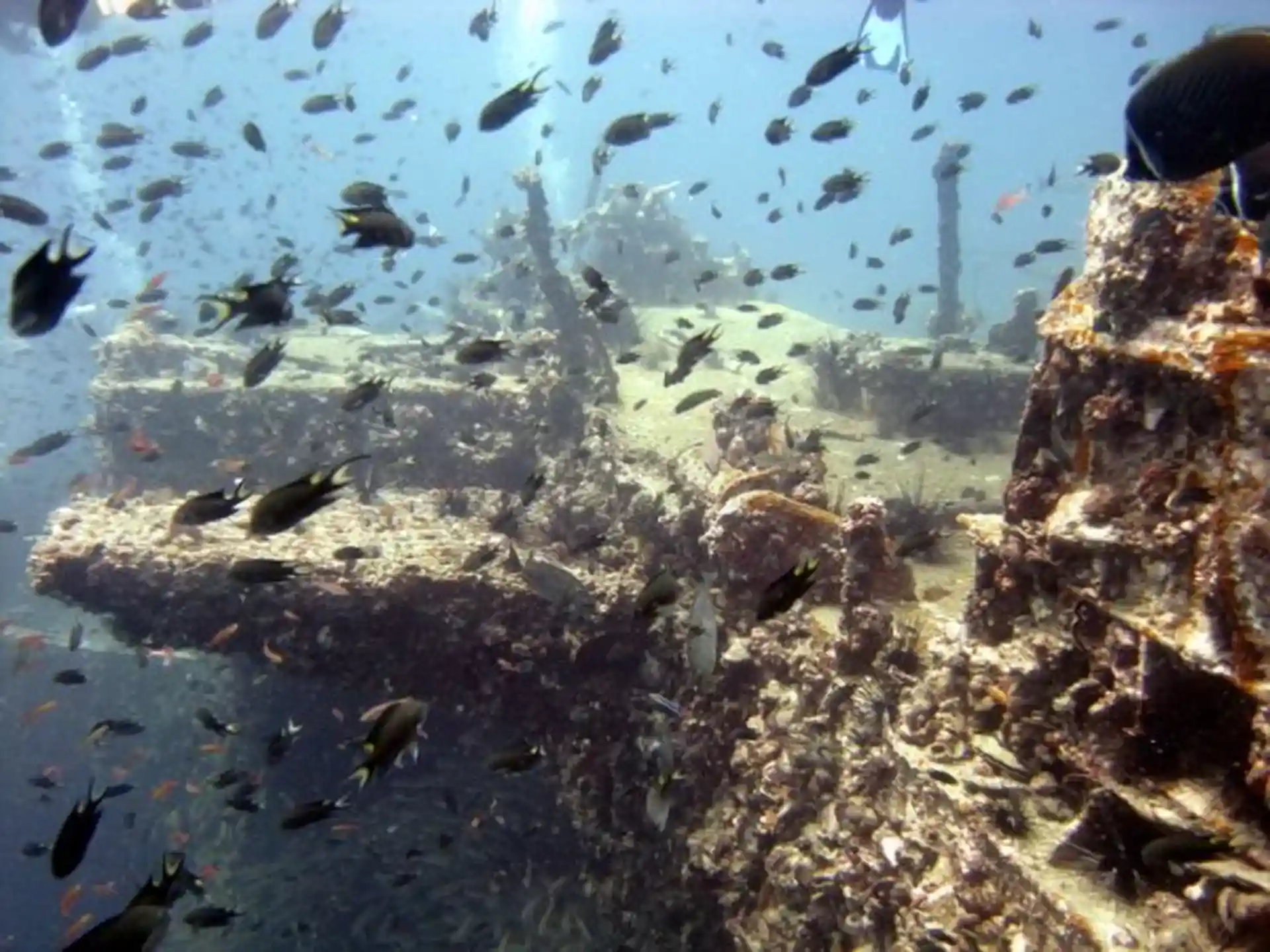 Dive site photo