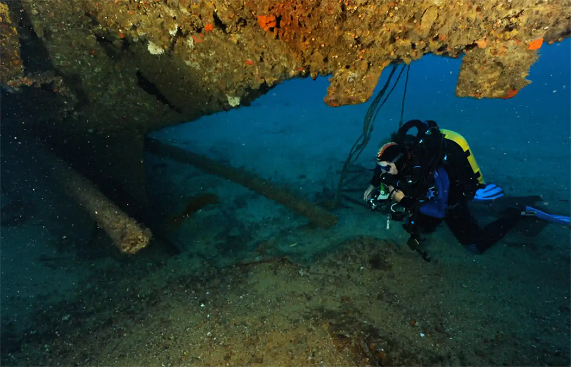 Dive shop photo