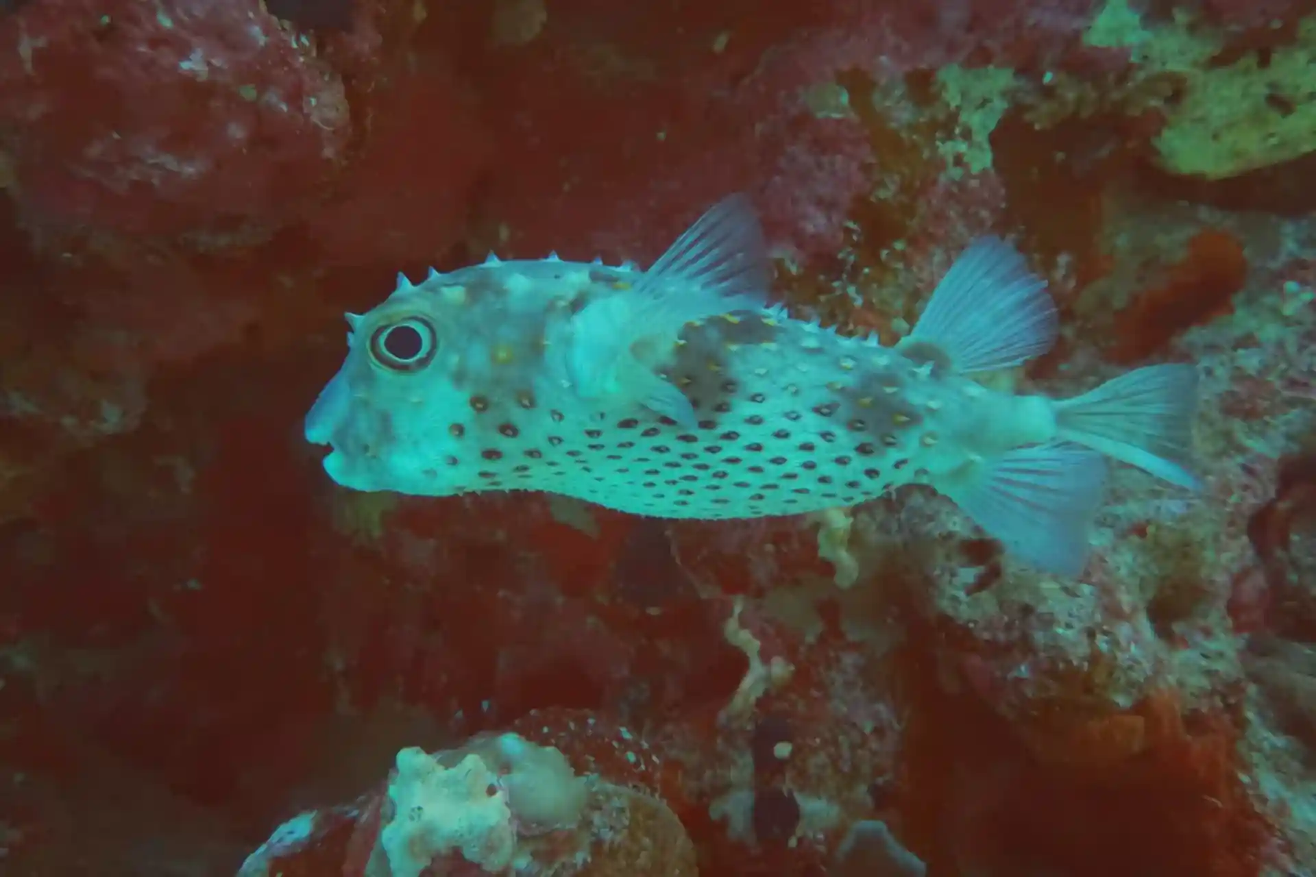 Dive site photo