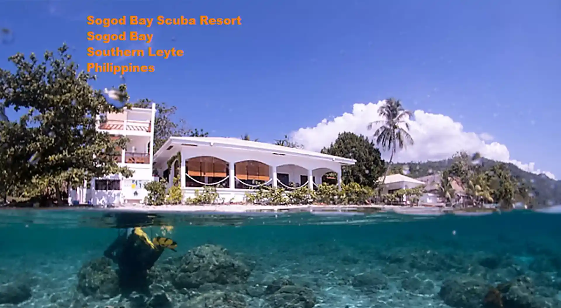 Dive shop photo
