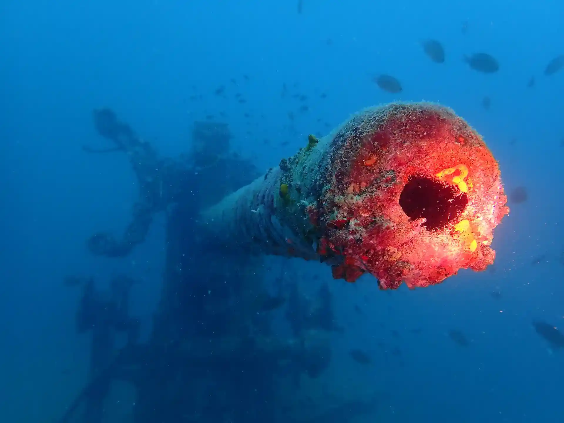 discover a new world below 18 m