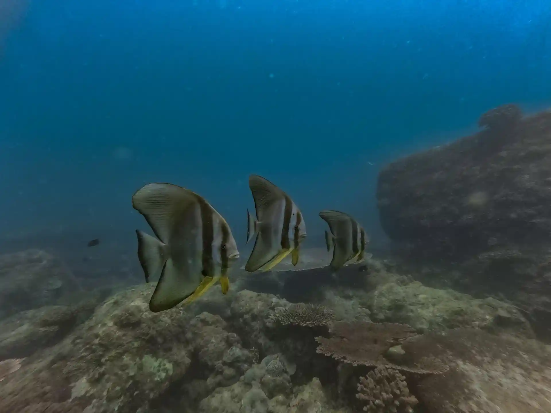 Dive shop photo