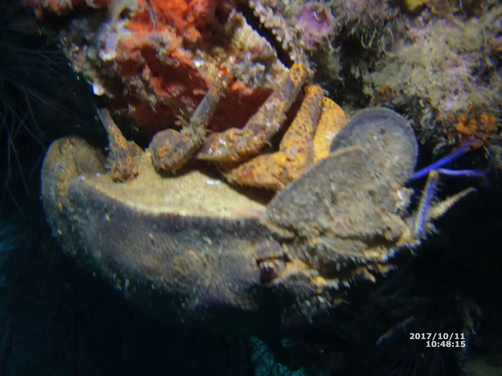 Dive site photo