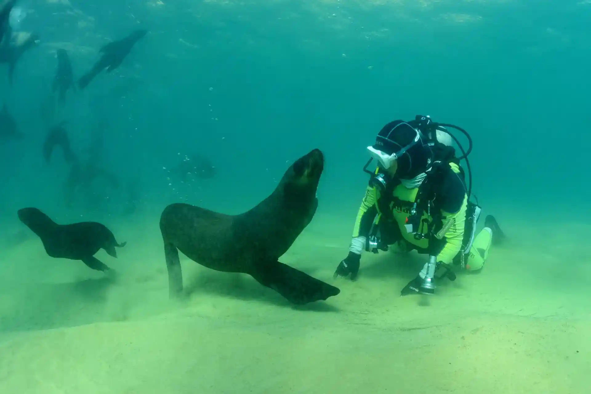 다이빙 포인트 사진