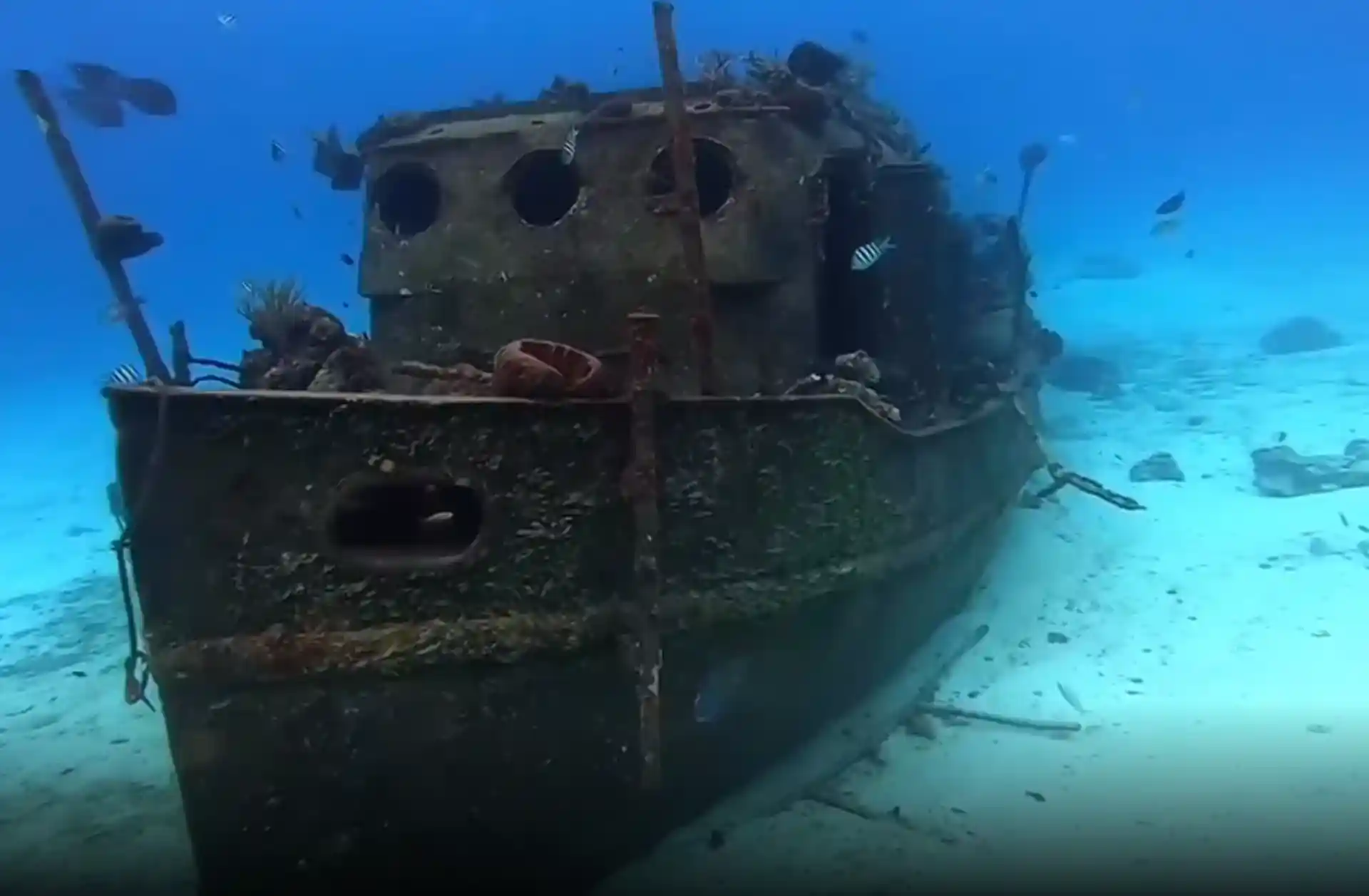 Dive site photo
