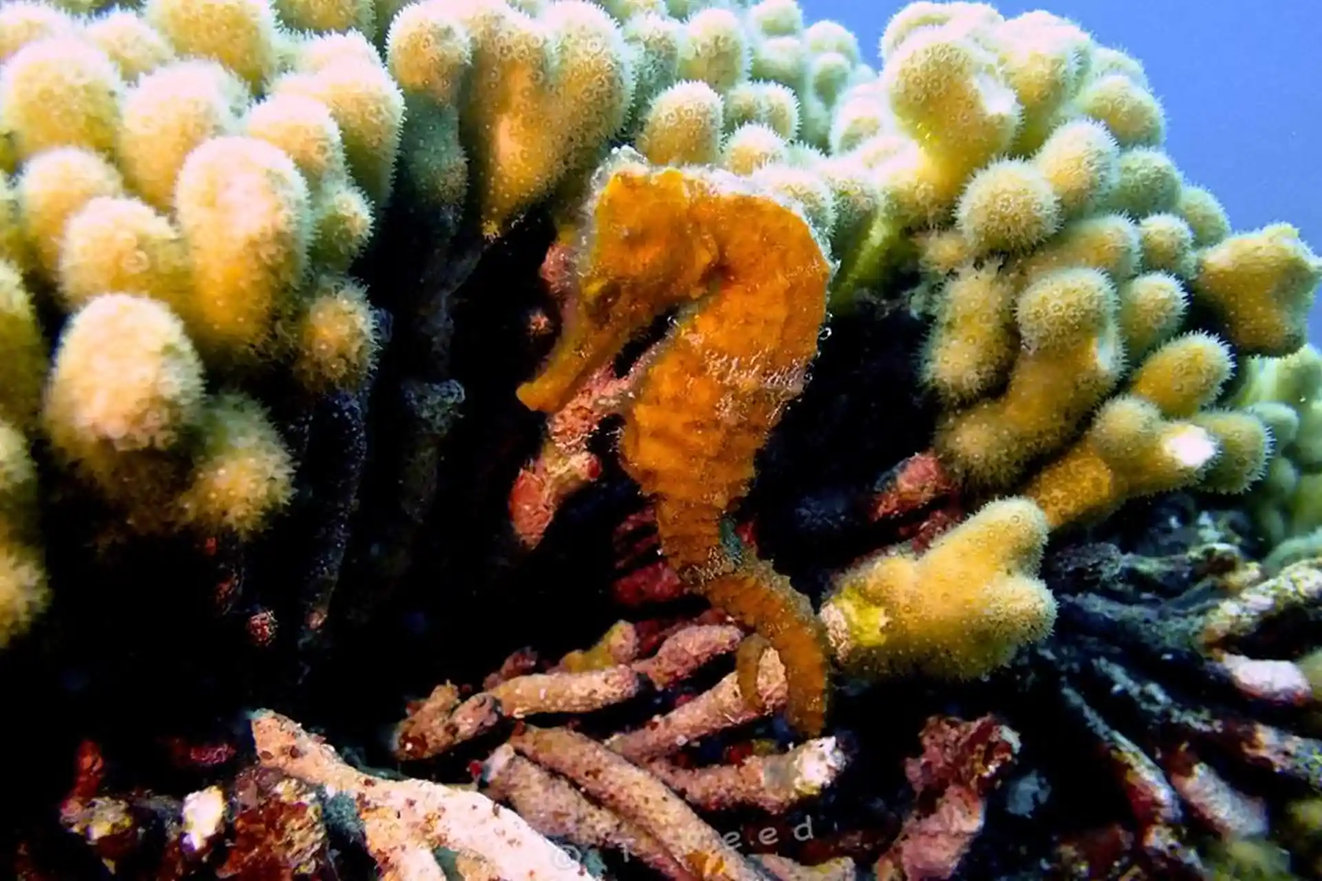 Photo de l'activité