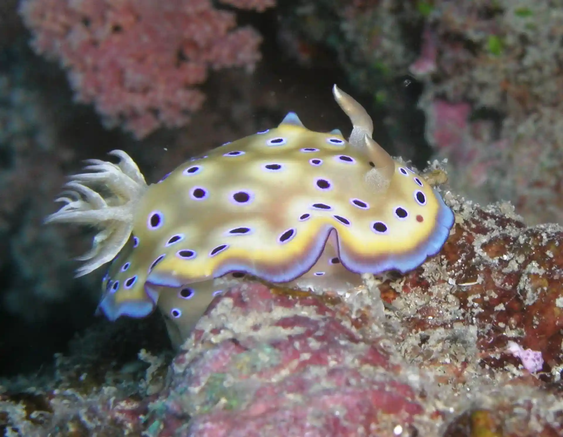 Dive shop photo