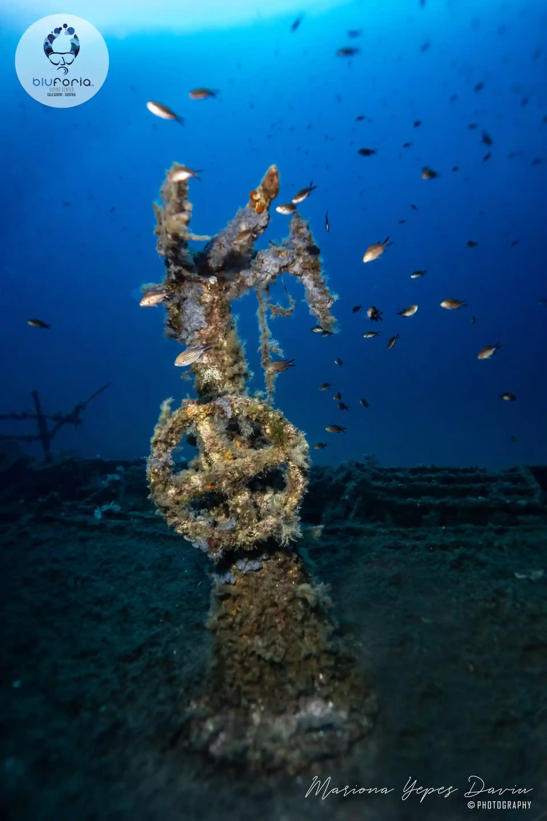 Dive shop photo