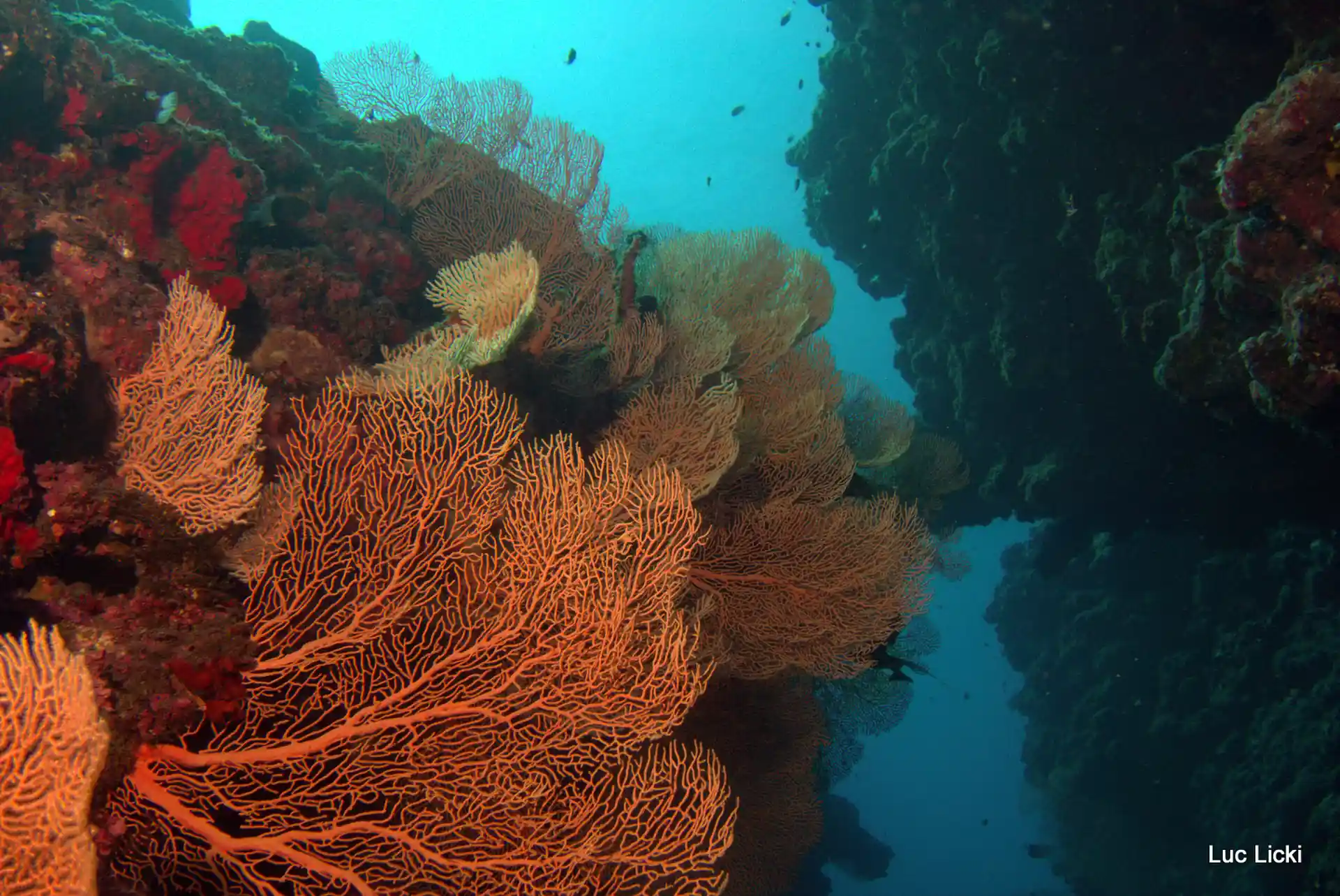 Photo de l'activité