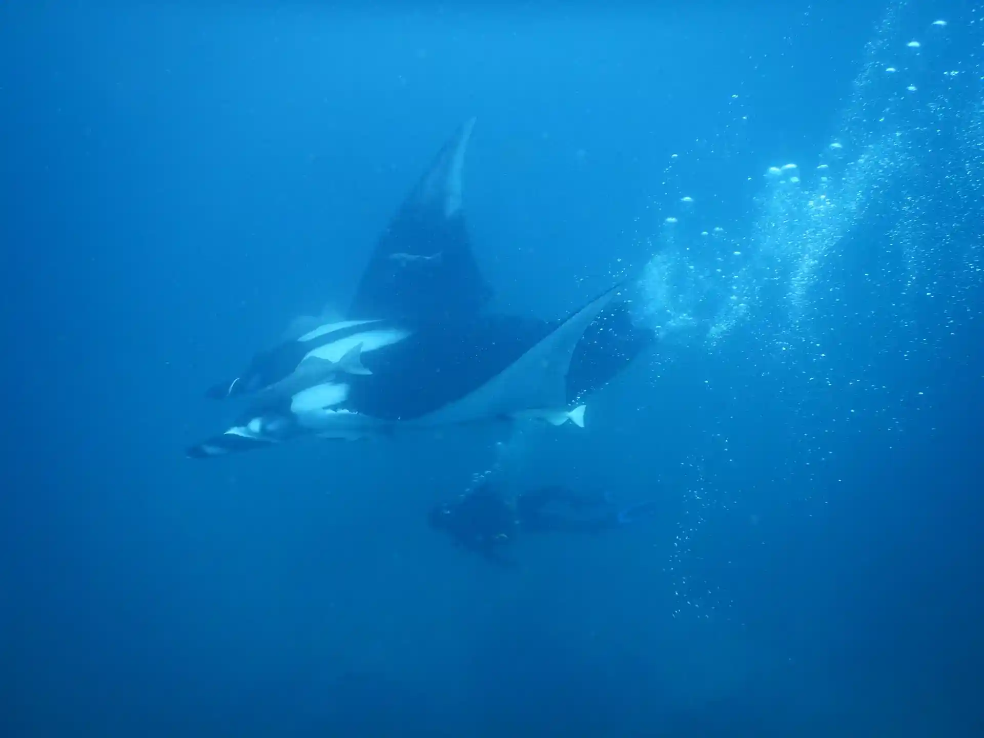 Dive site photo