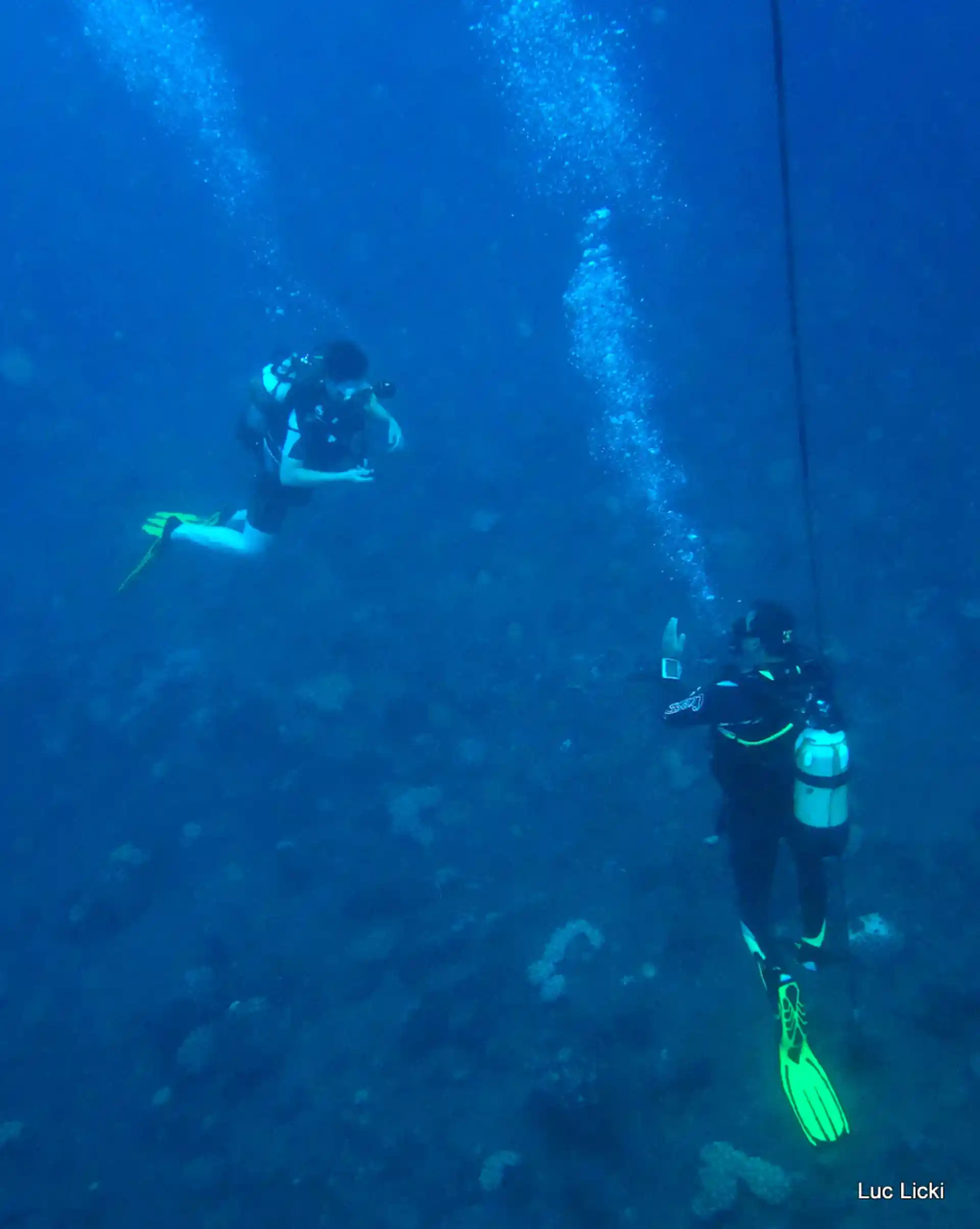 Photo de l'activité