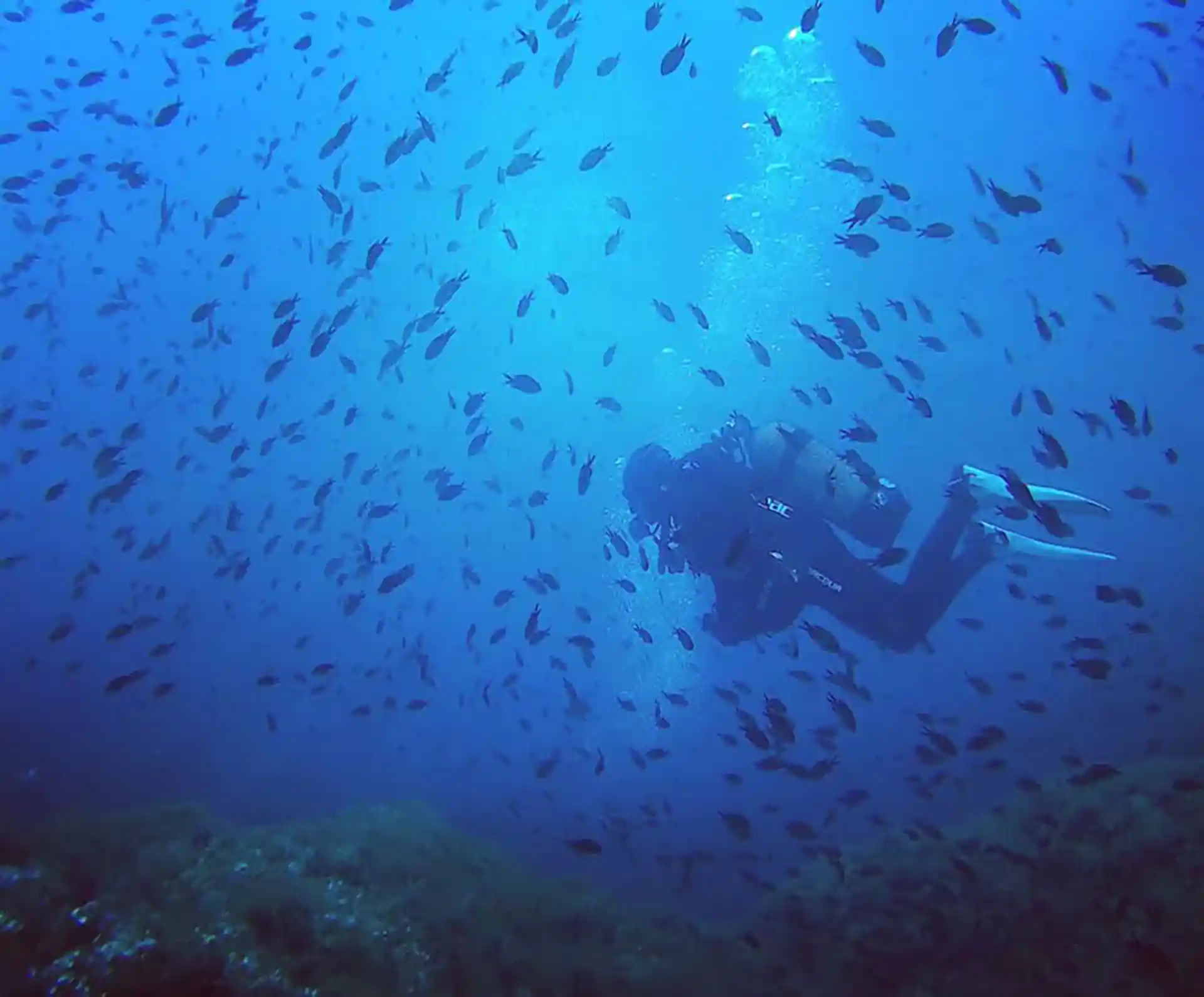 Foto del sitio de buceo