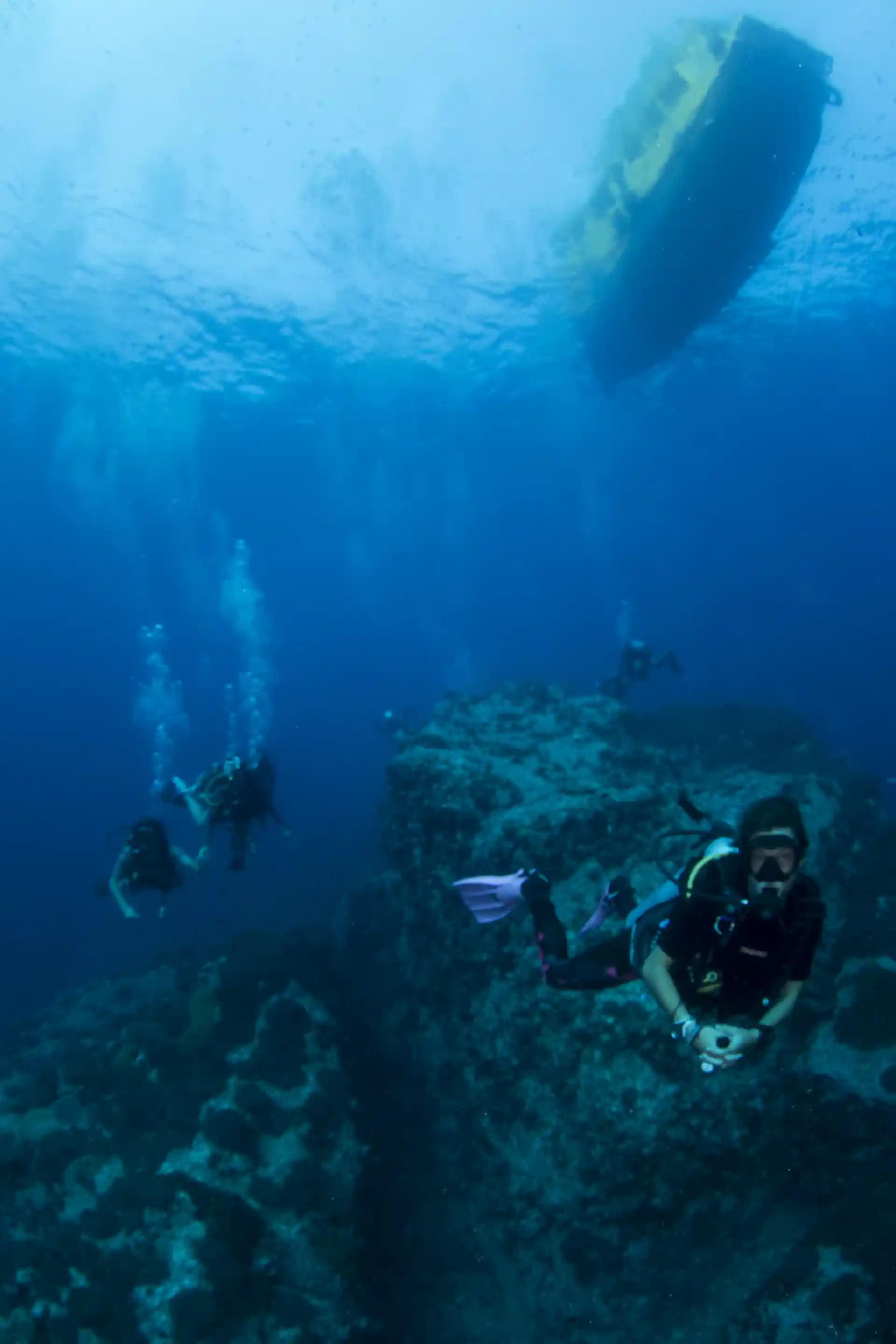 Foto de la actividad