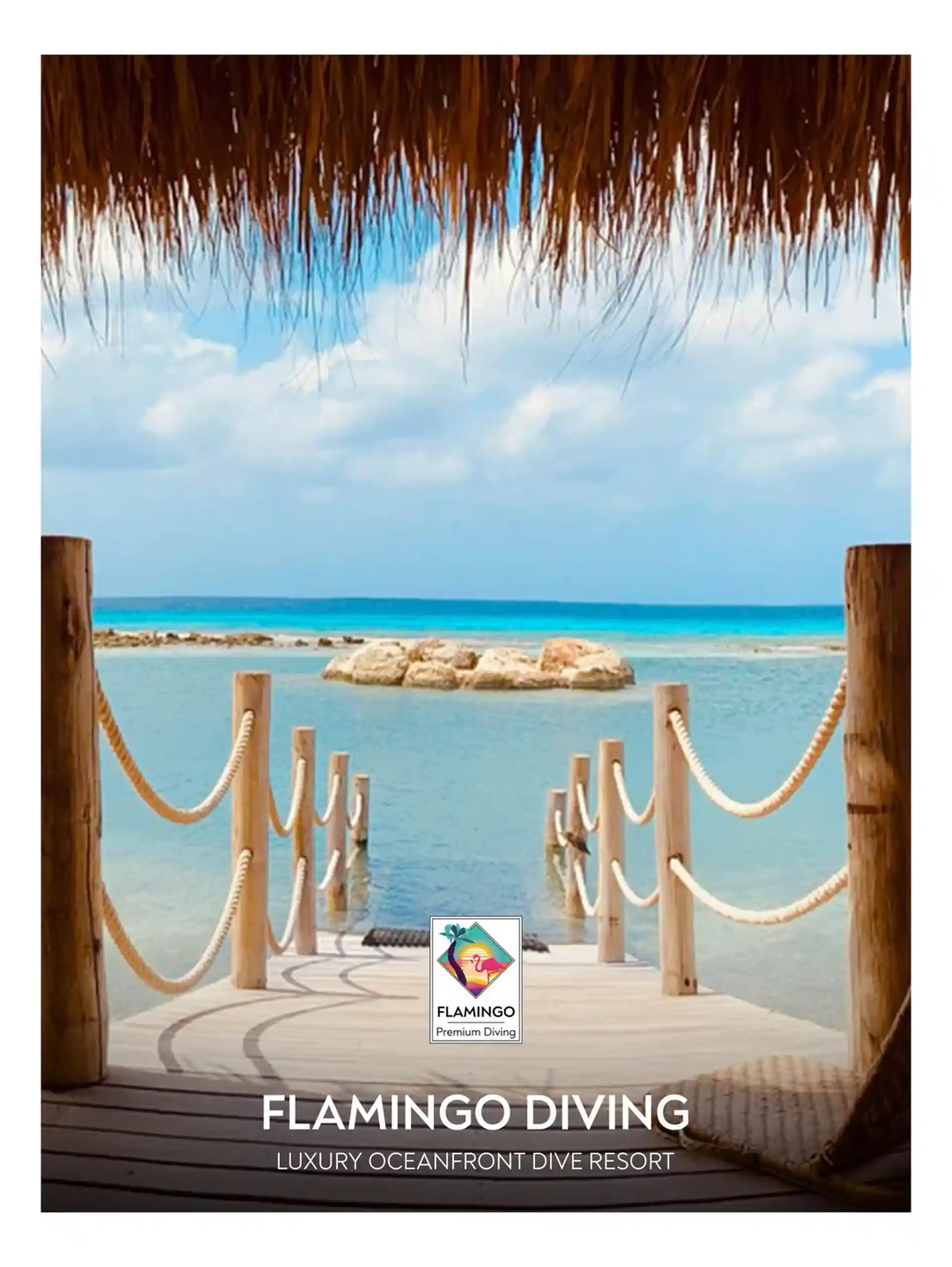 다이빙 포인트 사진