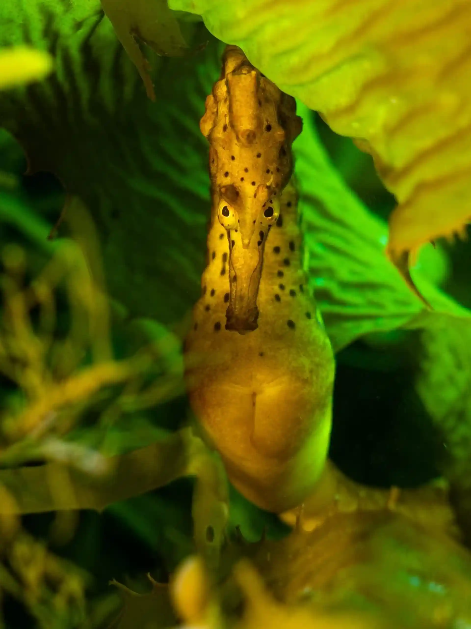 Dive shop photo