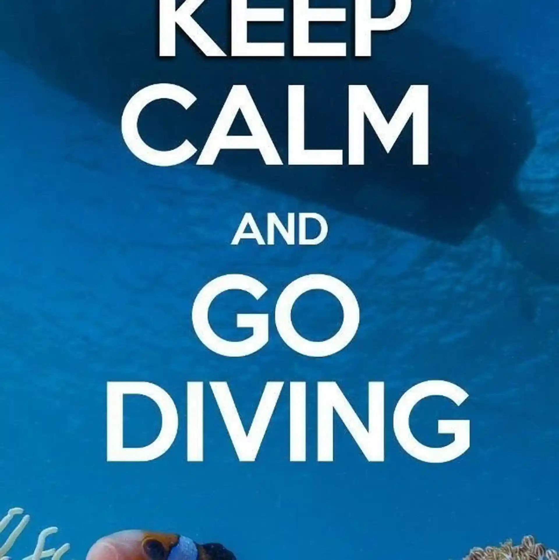 Dive shop photo