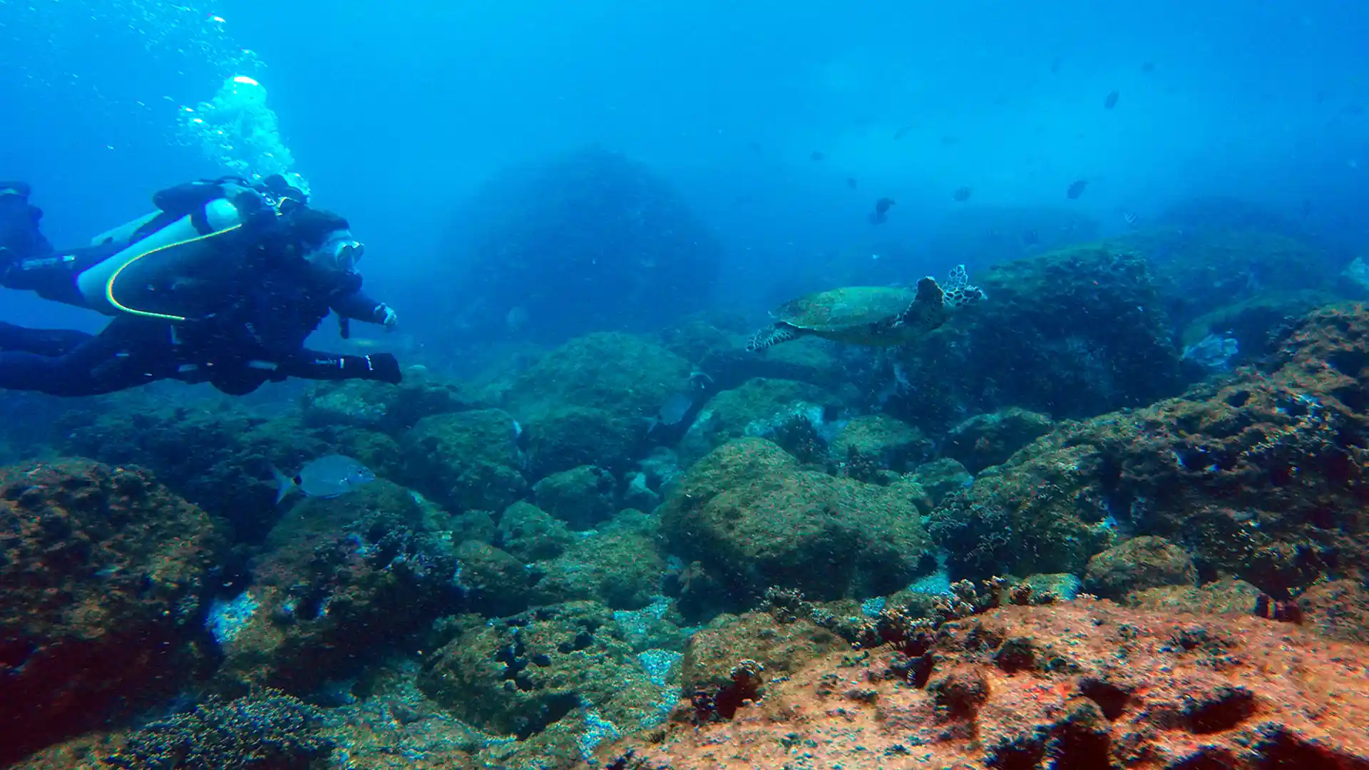 Dive site photo