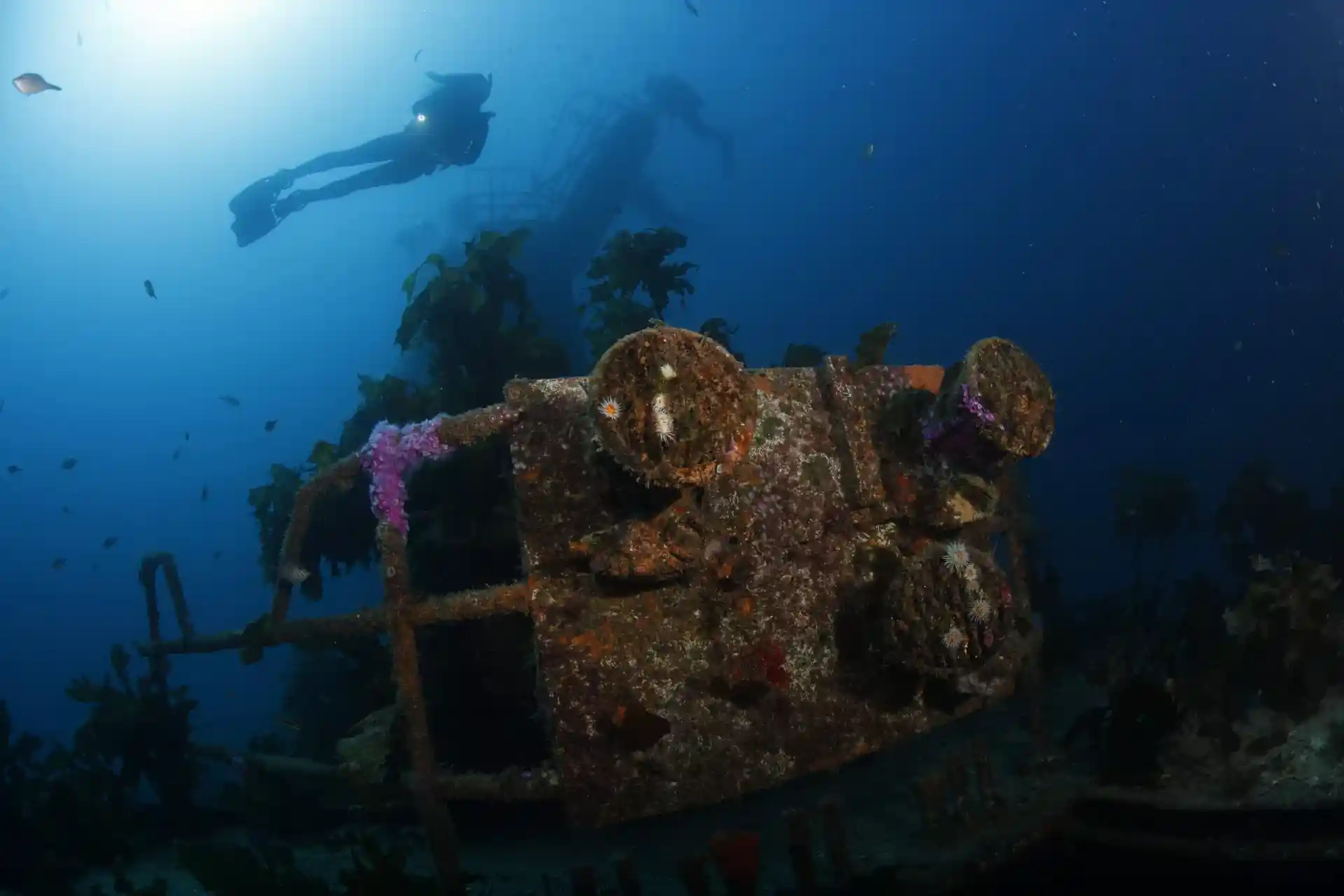 Dive site photo