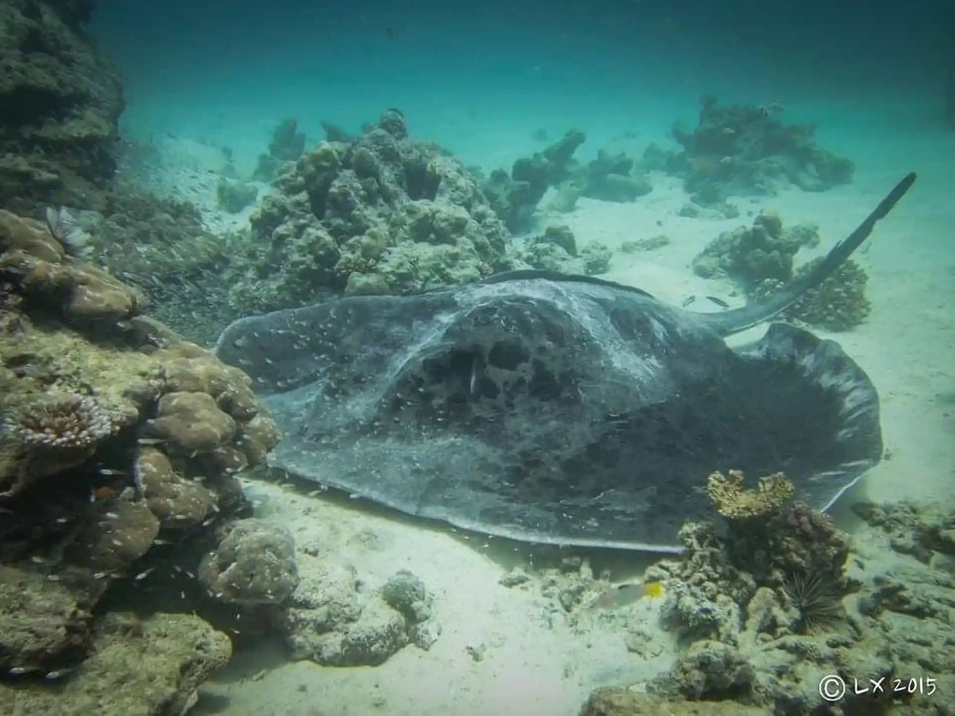 Dive site photo