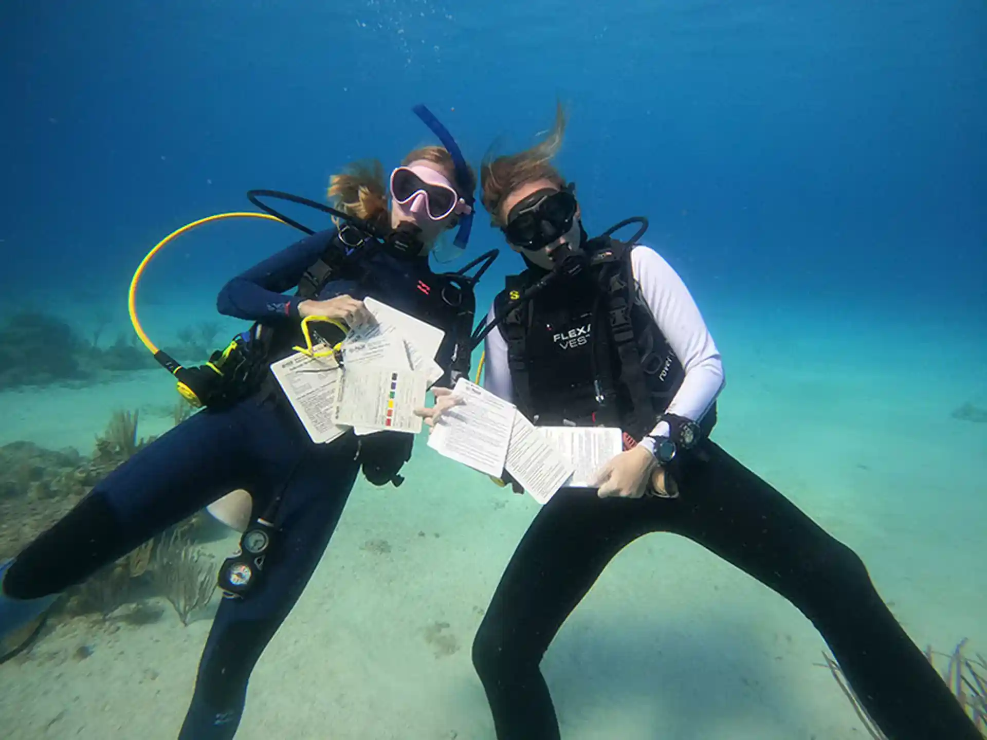Dive site photo