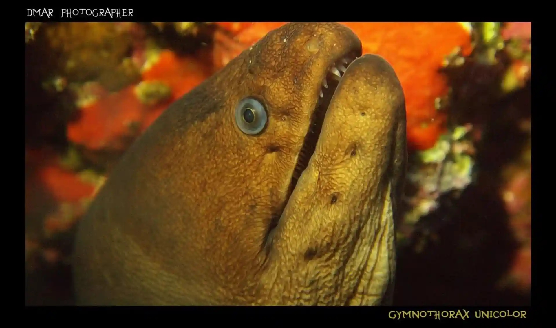 Dive site photo