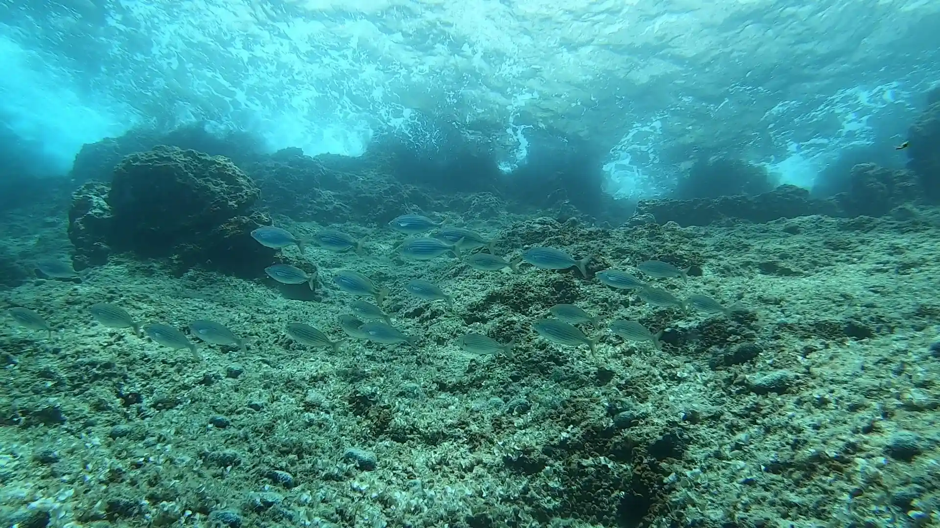 ダイビングサイトの写真