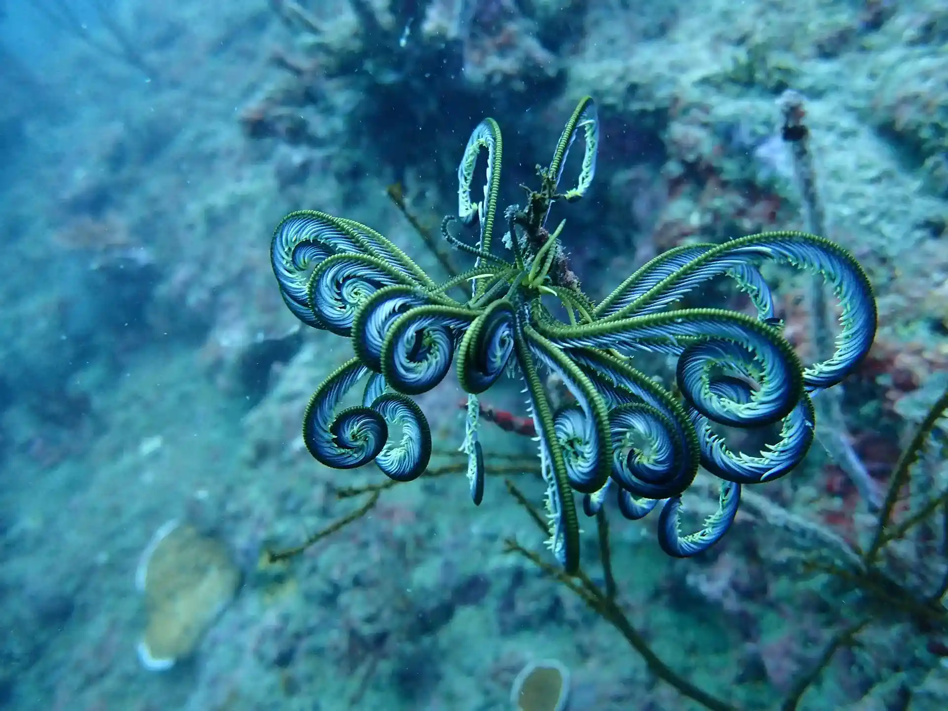 Dive site photo
