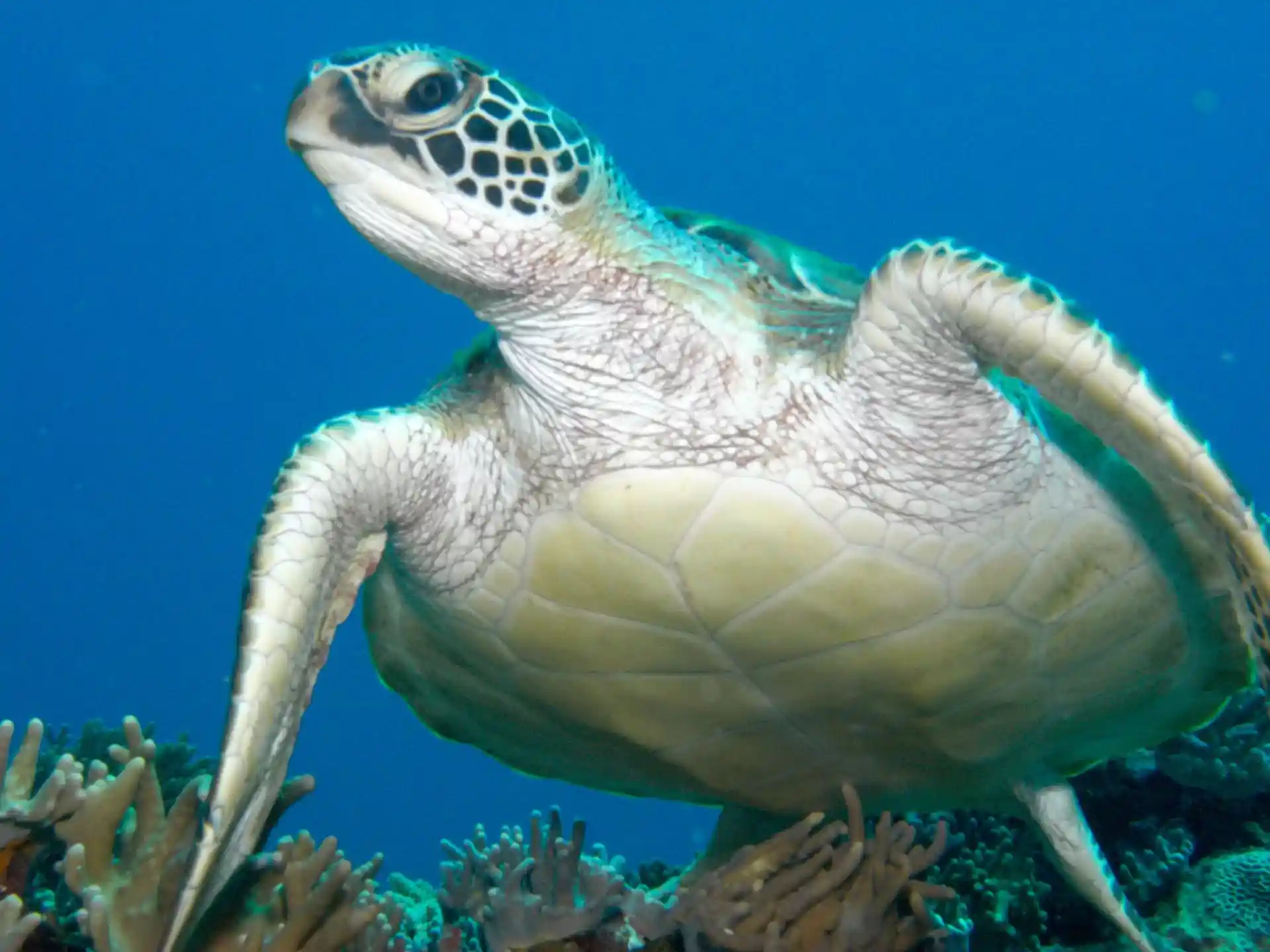 Dive site photo