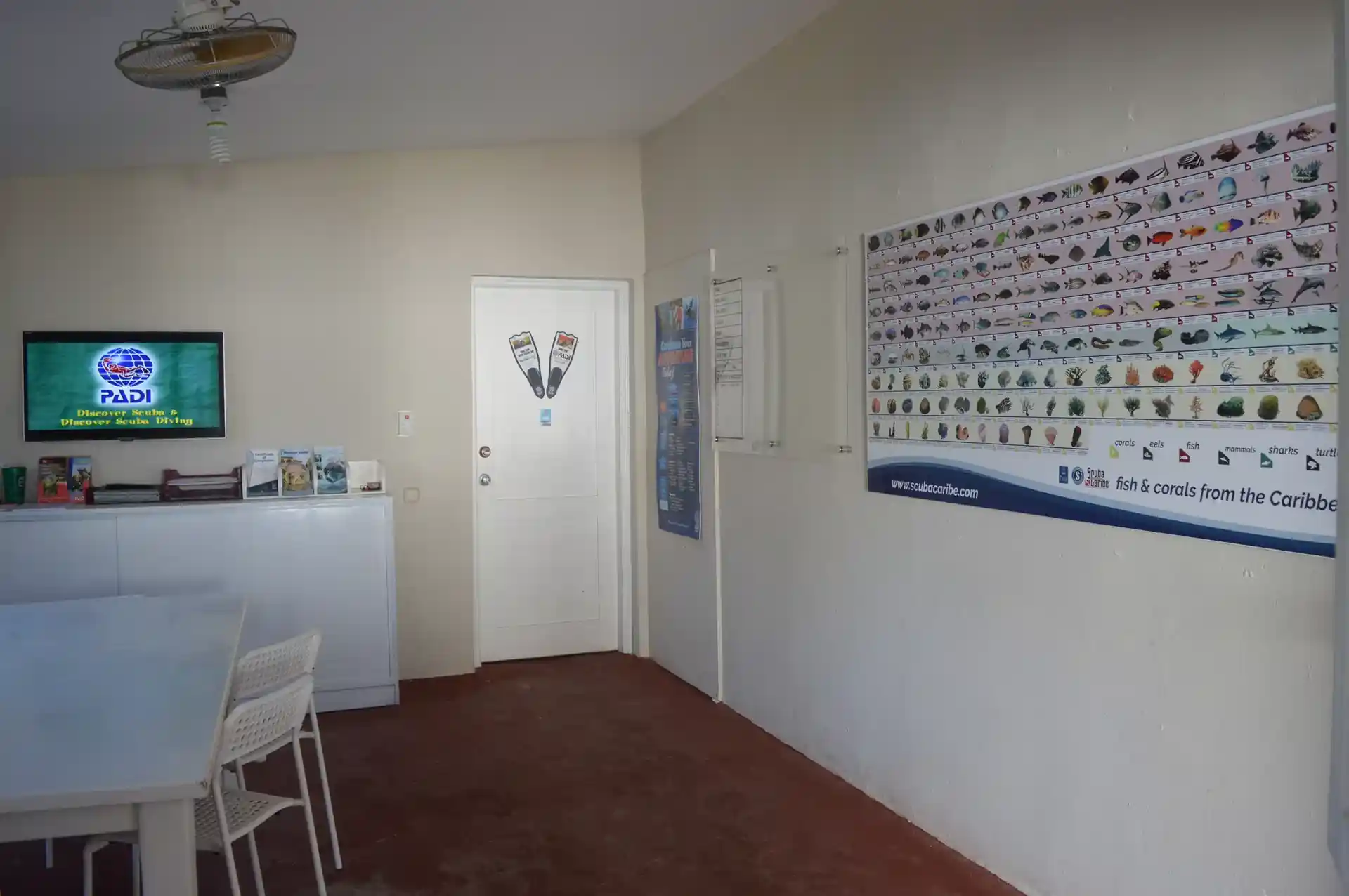 Foto de la tienda de buceo