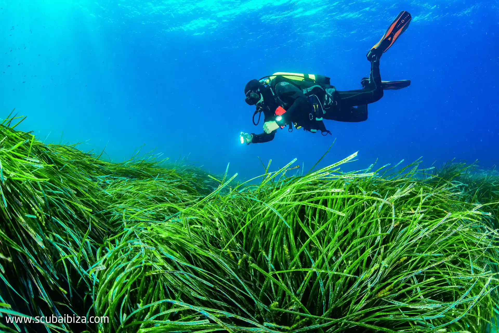 Photo de l'activité