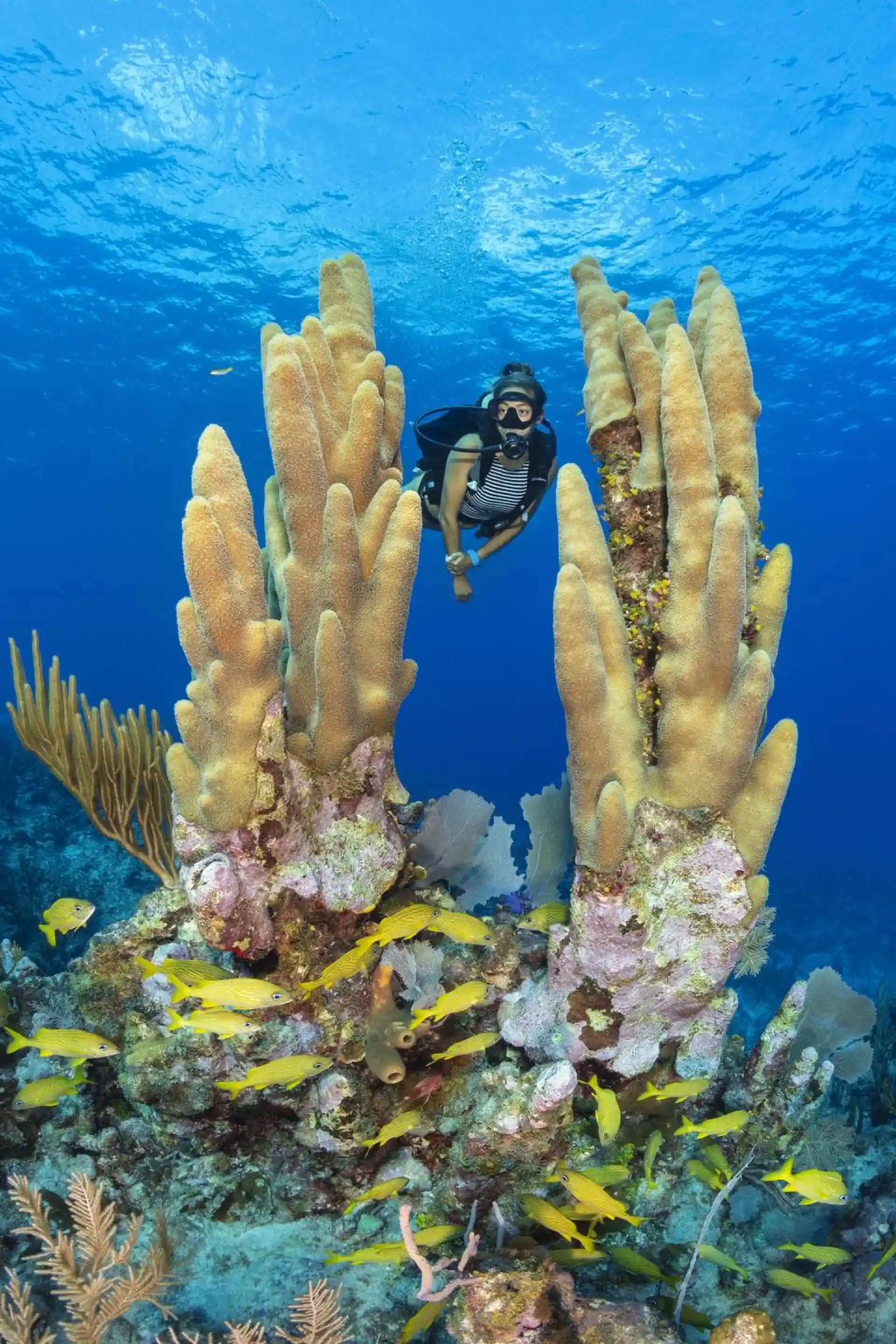 Dive site photo