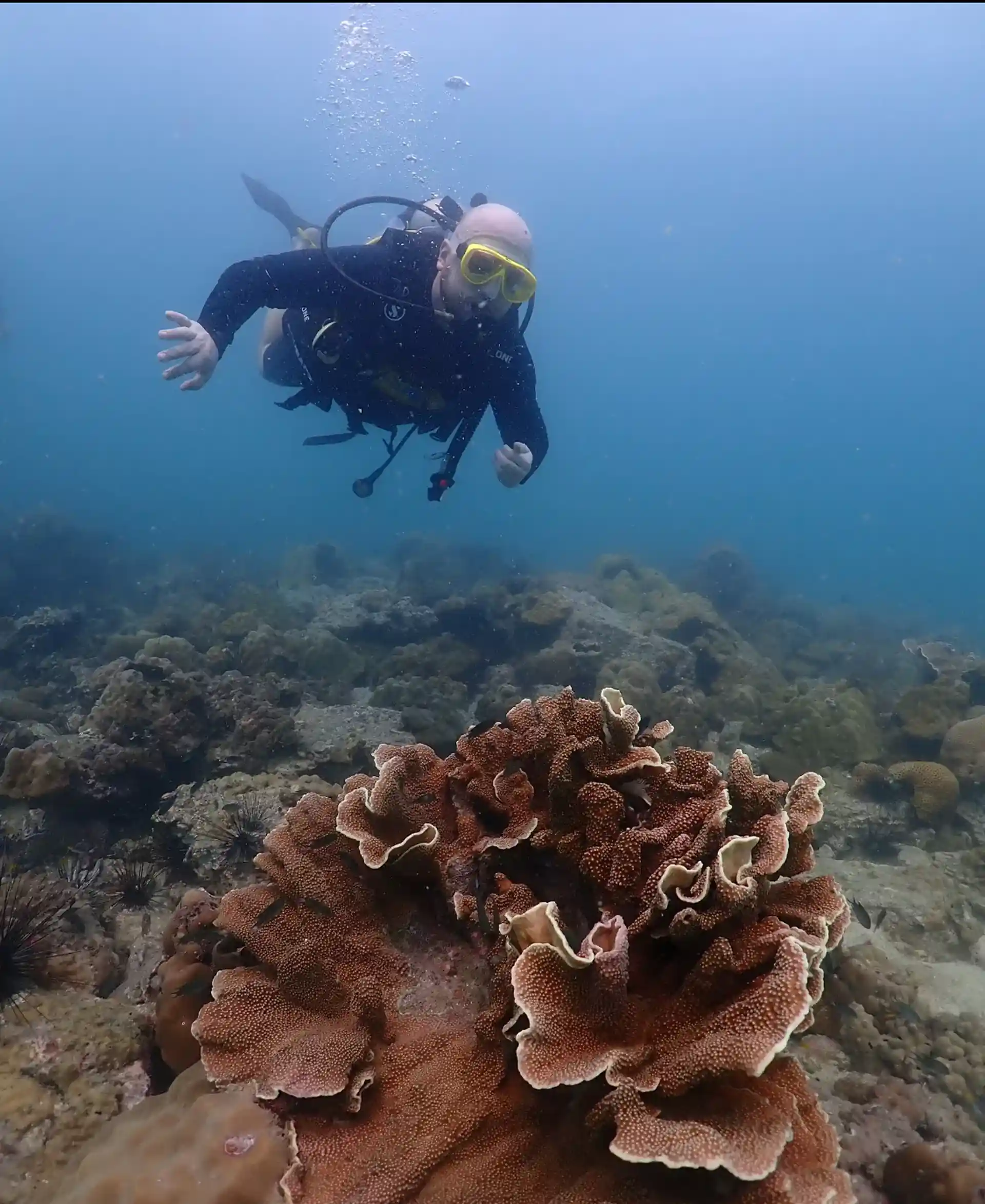 다이빙 샵 사진