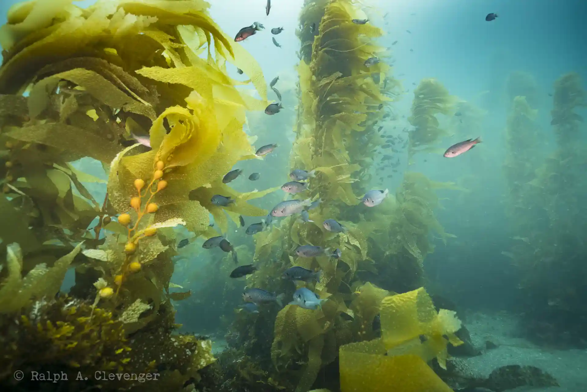 Dive shop photo