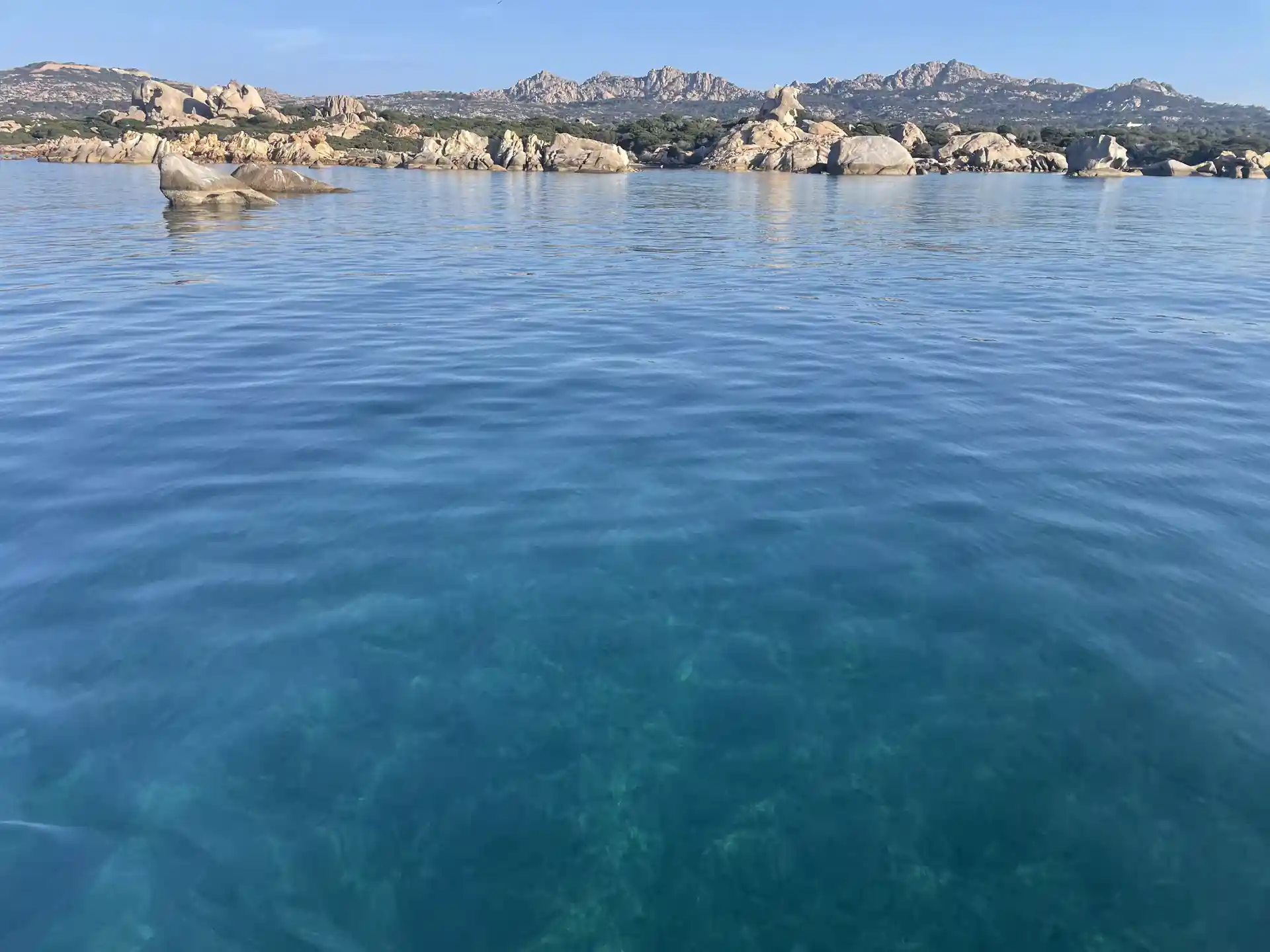 Foto de la actividad