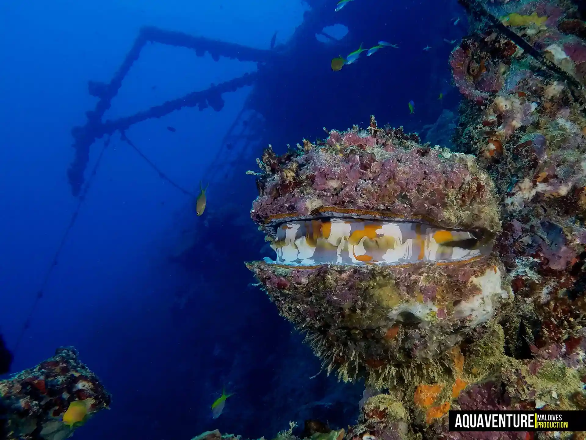 Foto del sitio de buceo