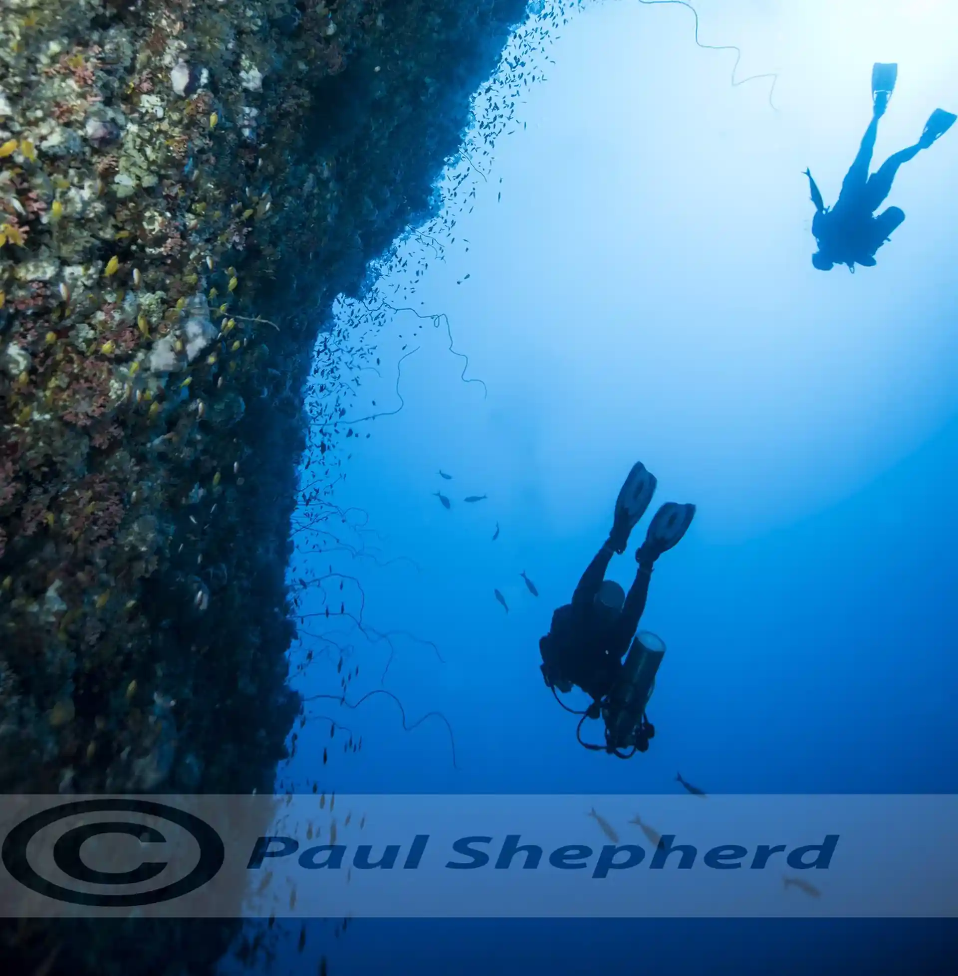 Foto de la tienda de buceo