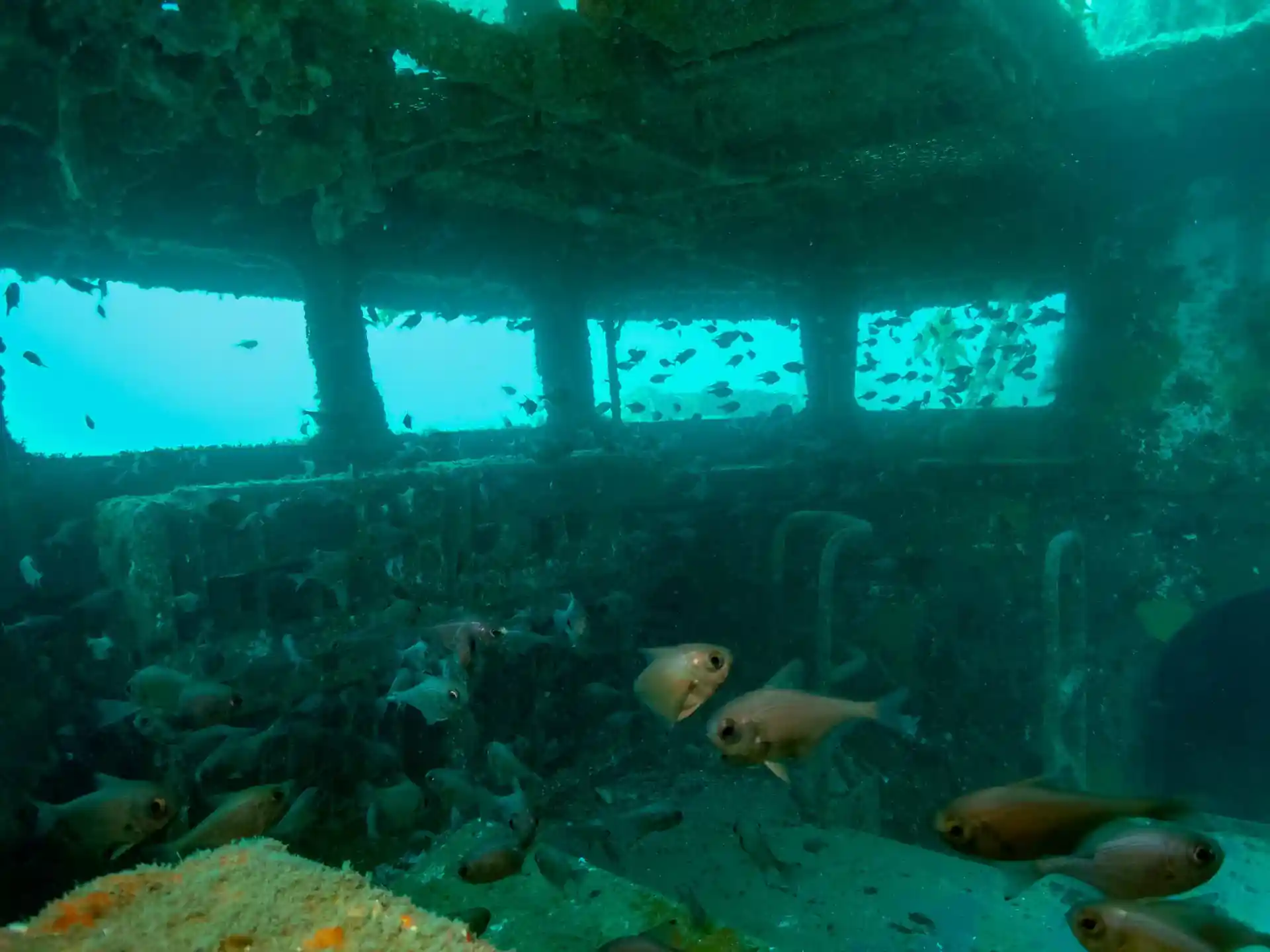 Dive site photo