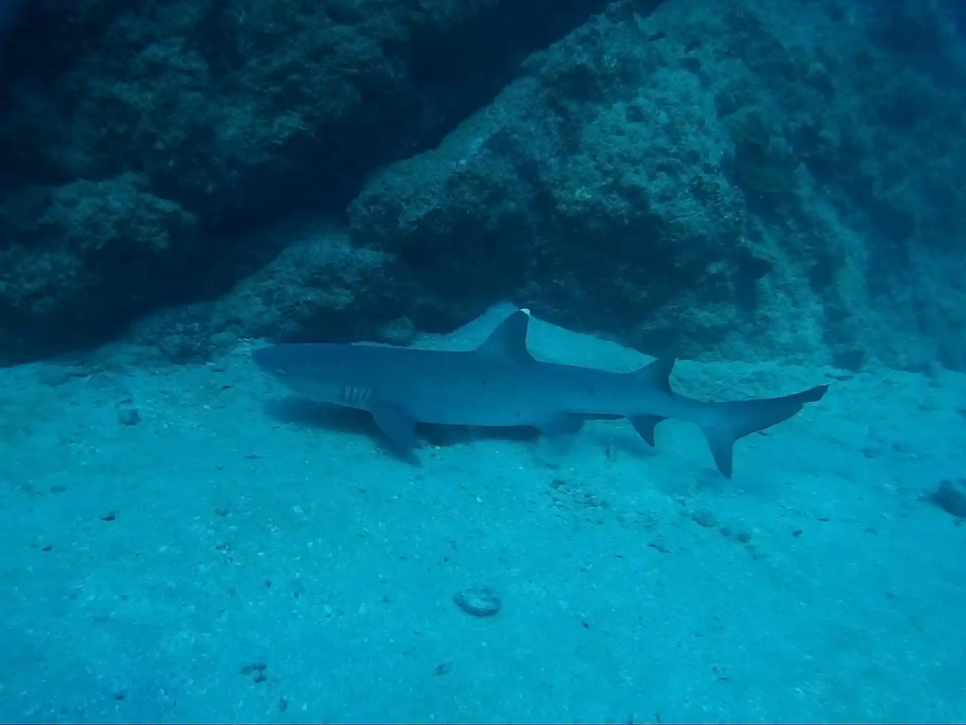 Foto des Tauchplatzes