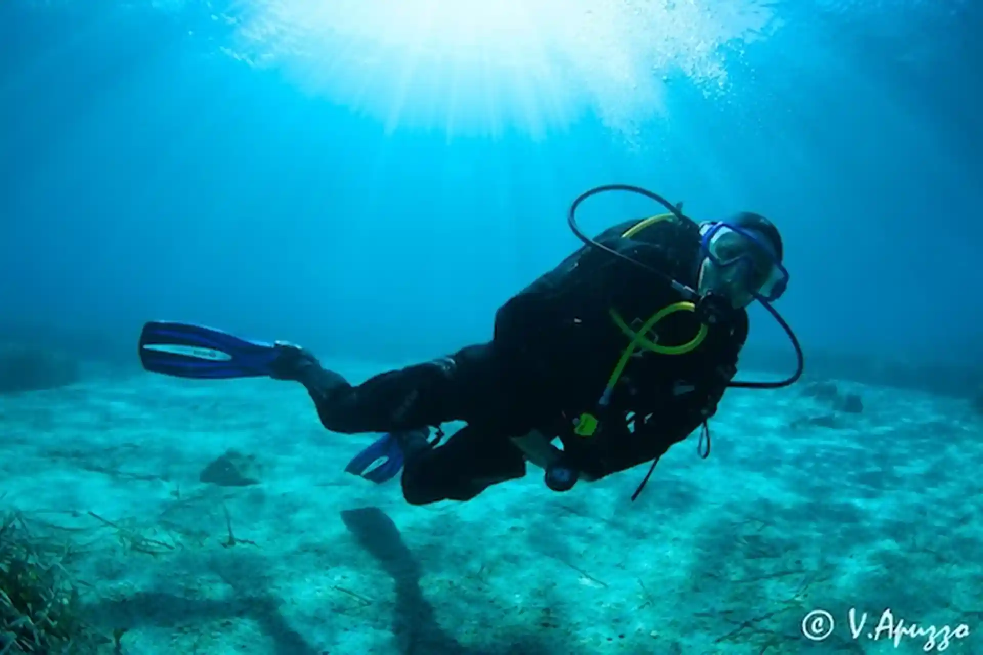 Learn in Crystal Clear Water