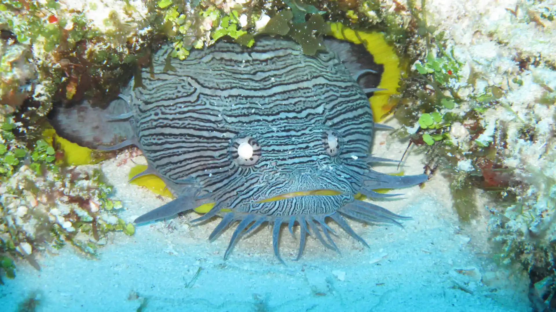 Photo de l'activité