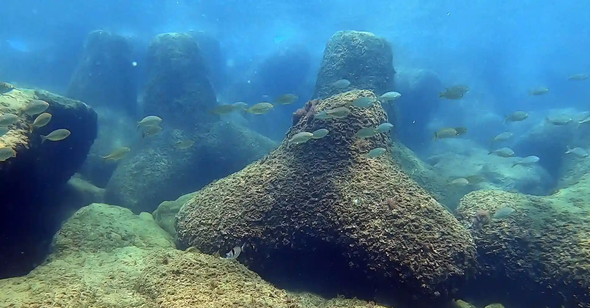 Foto des Tauchplatzes