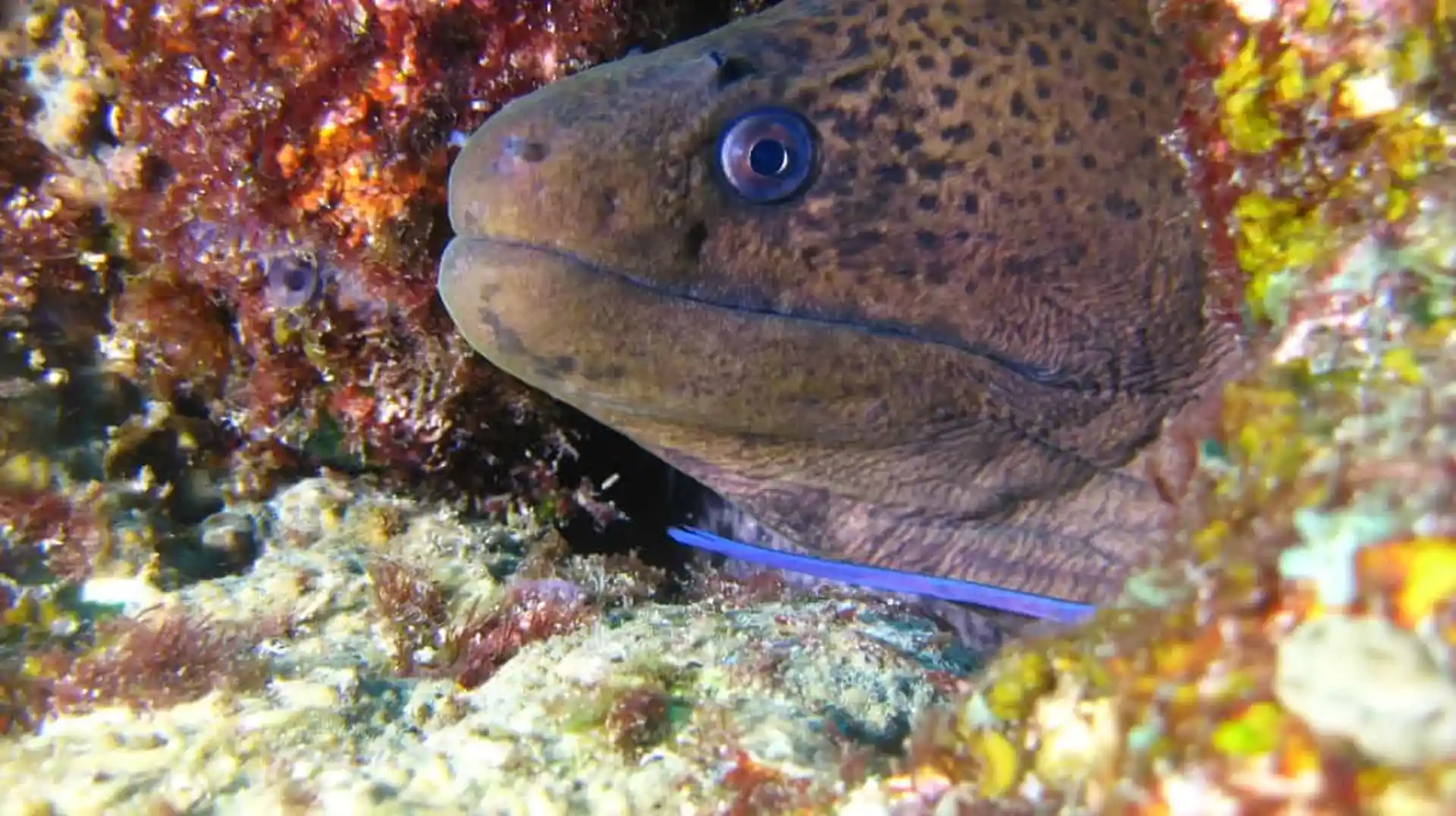 Dive shop photo