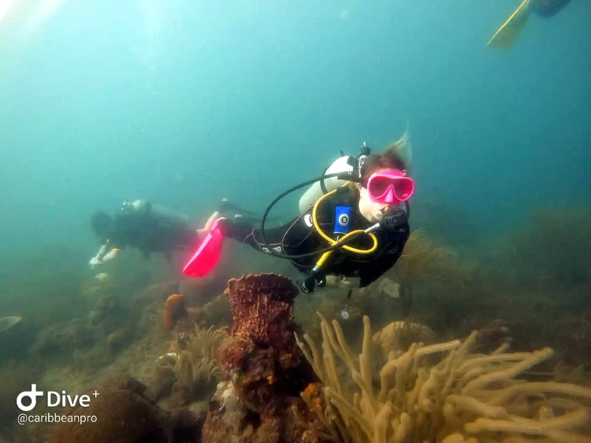 Convierte tu pasión por el mar en acción real.