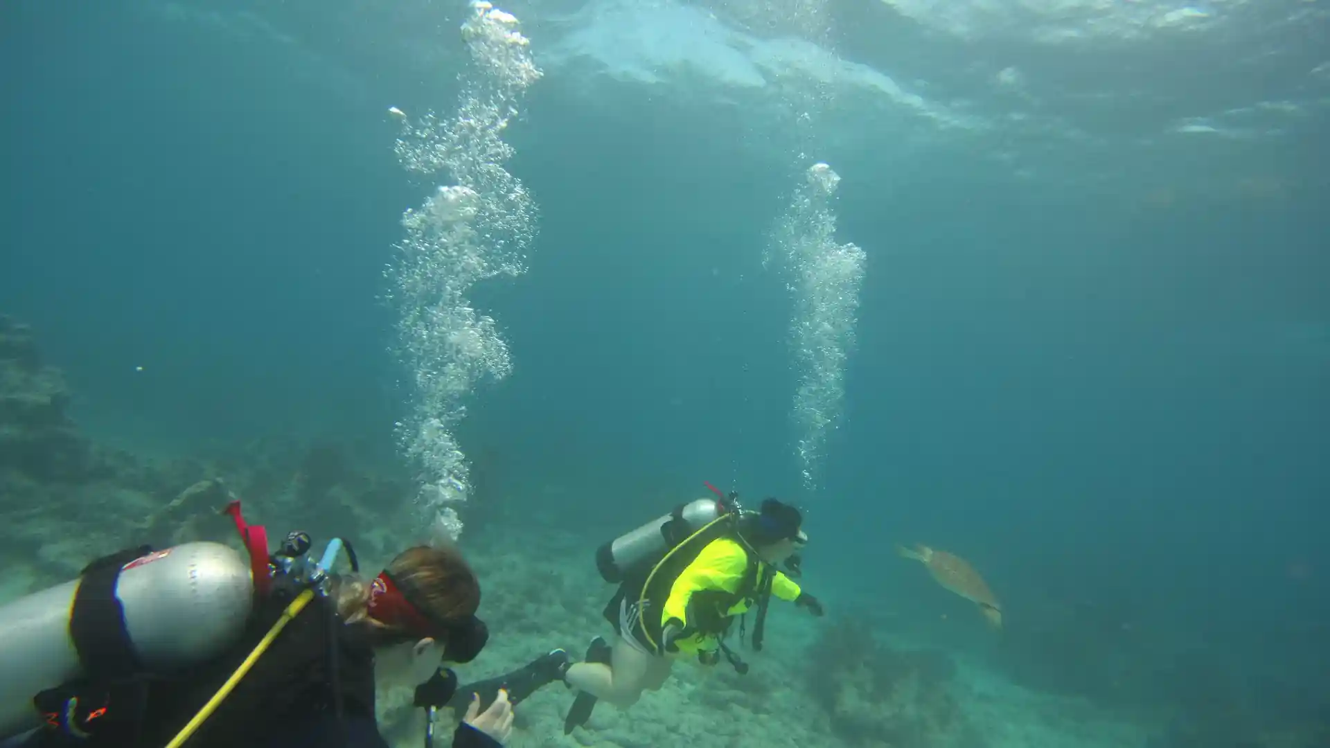 Dive shop photo
