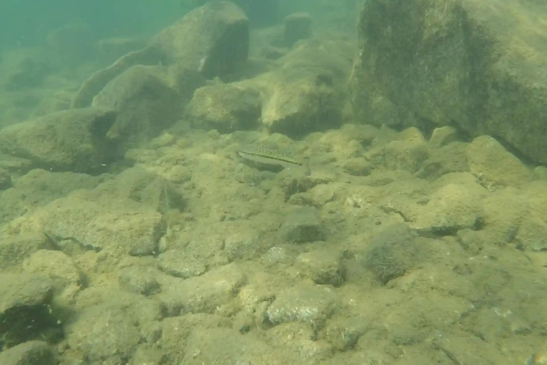 Dive site photo