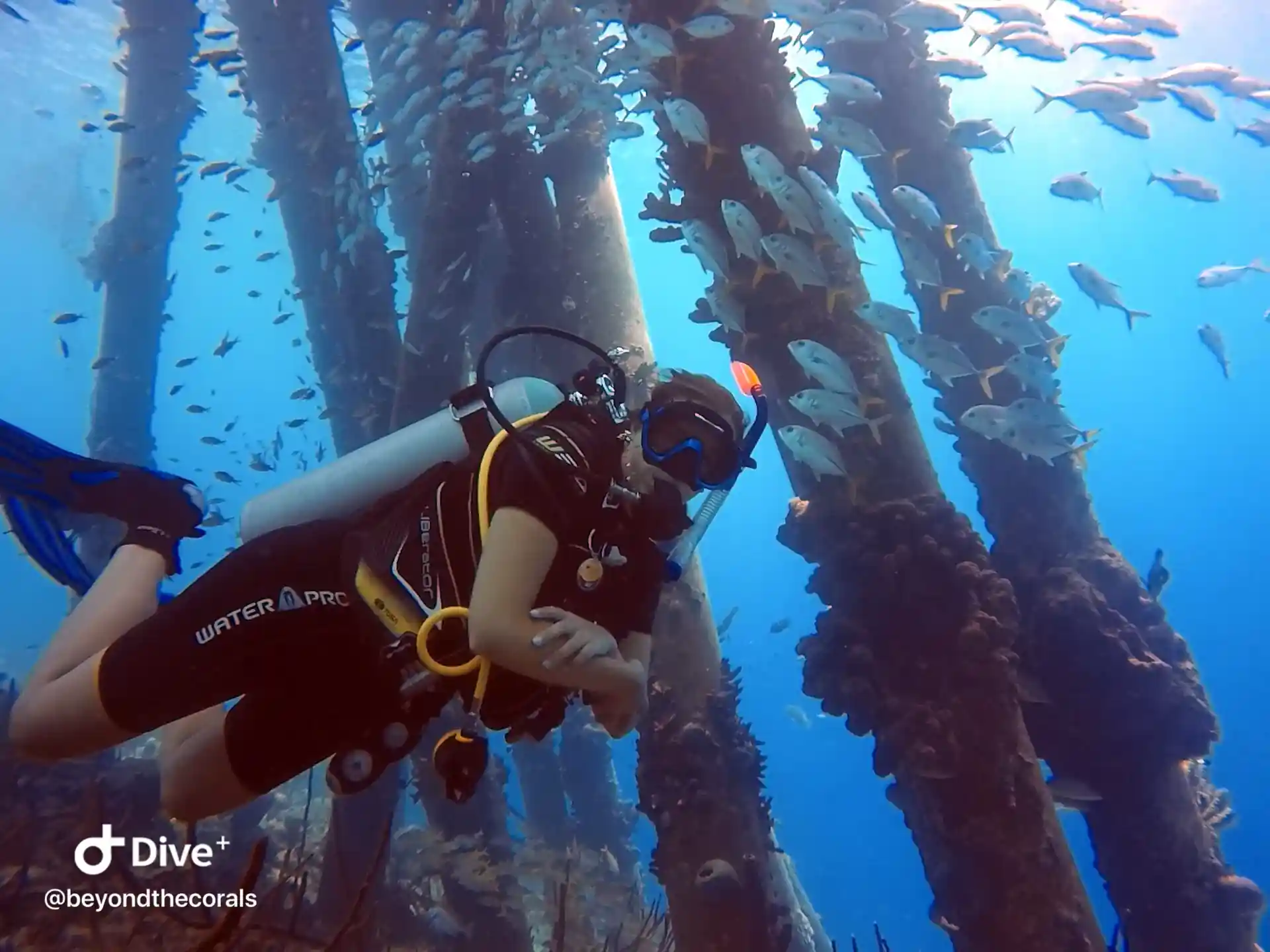 Foto del sitio de buceo