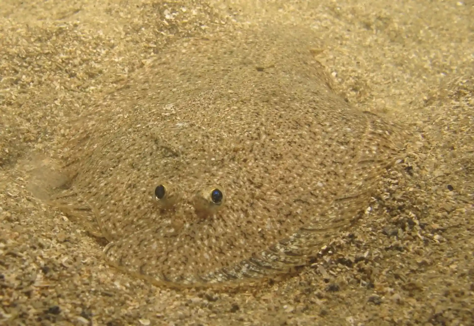 Dive site photo