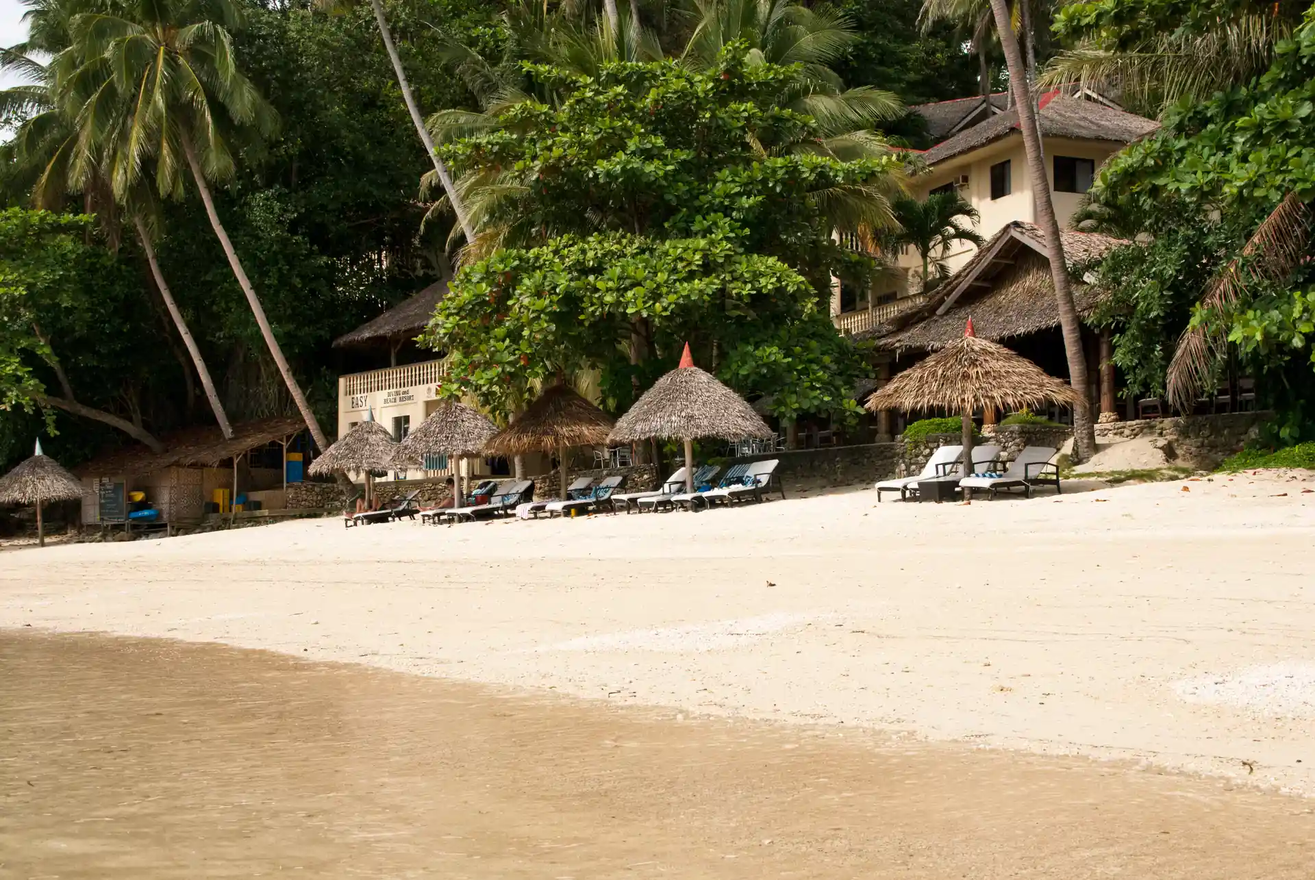 Photo de l'activité